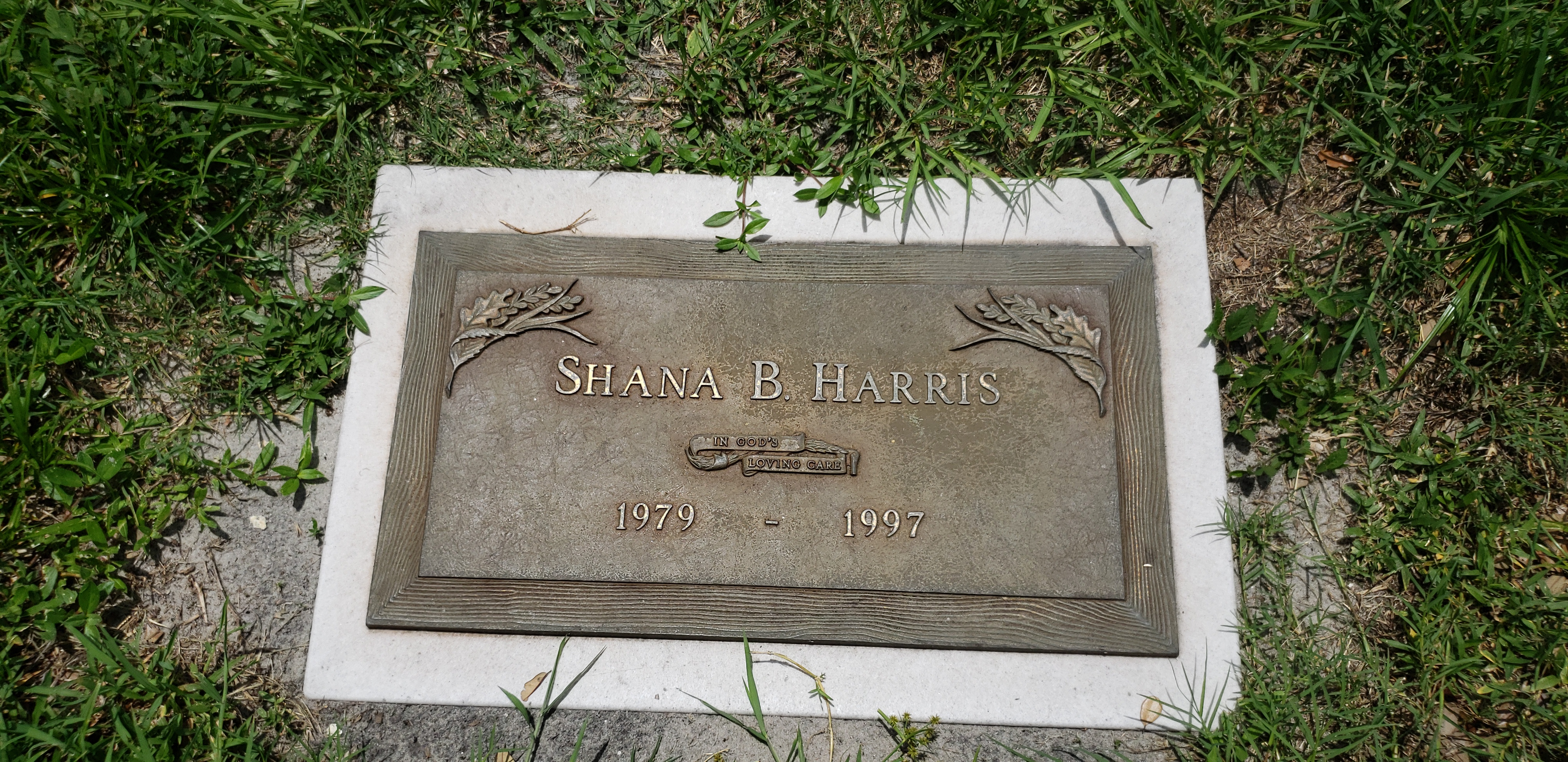Shana B Harris