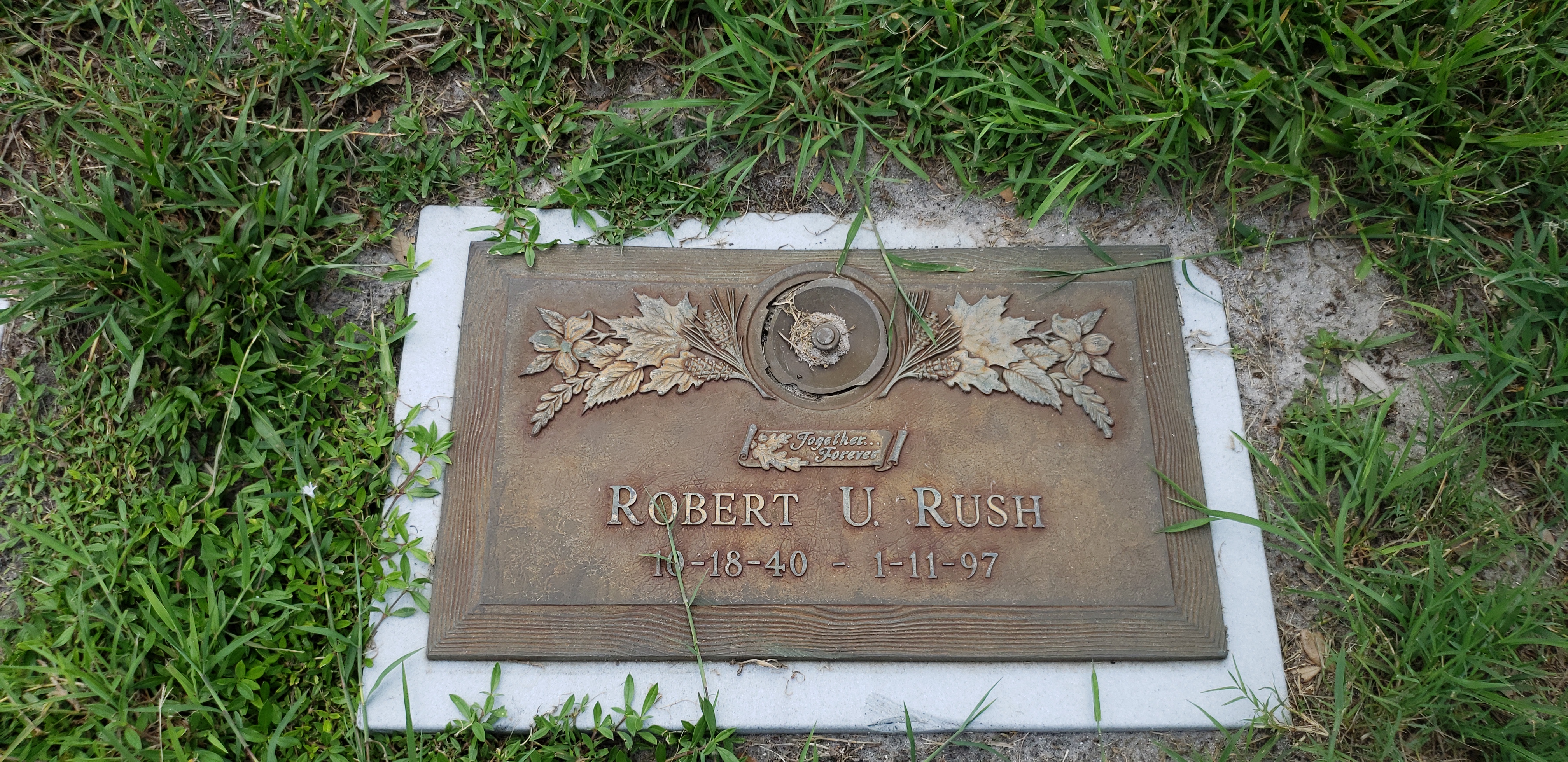 Robert U Rush