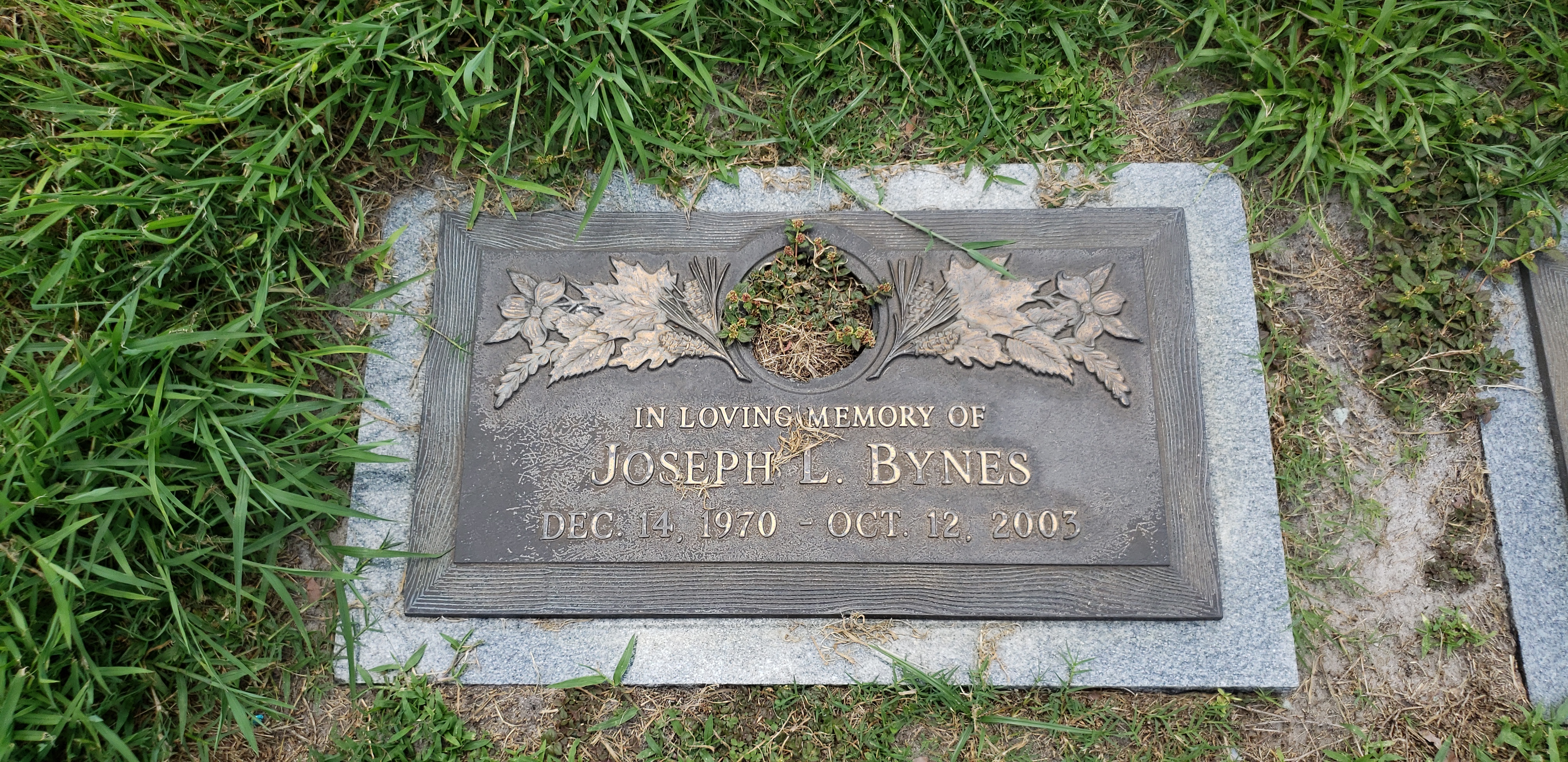Joseph L Bynes