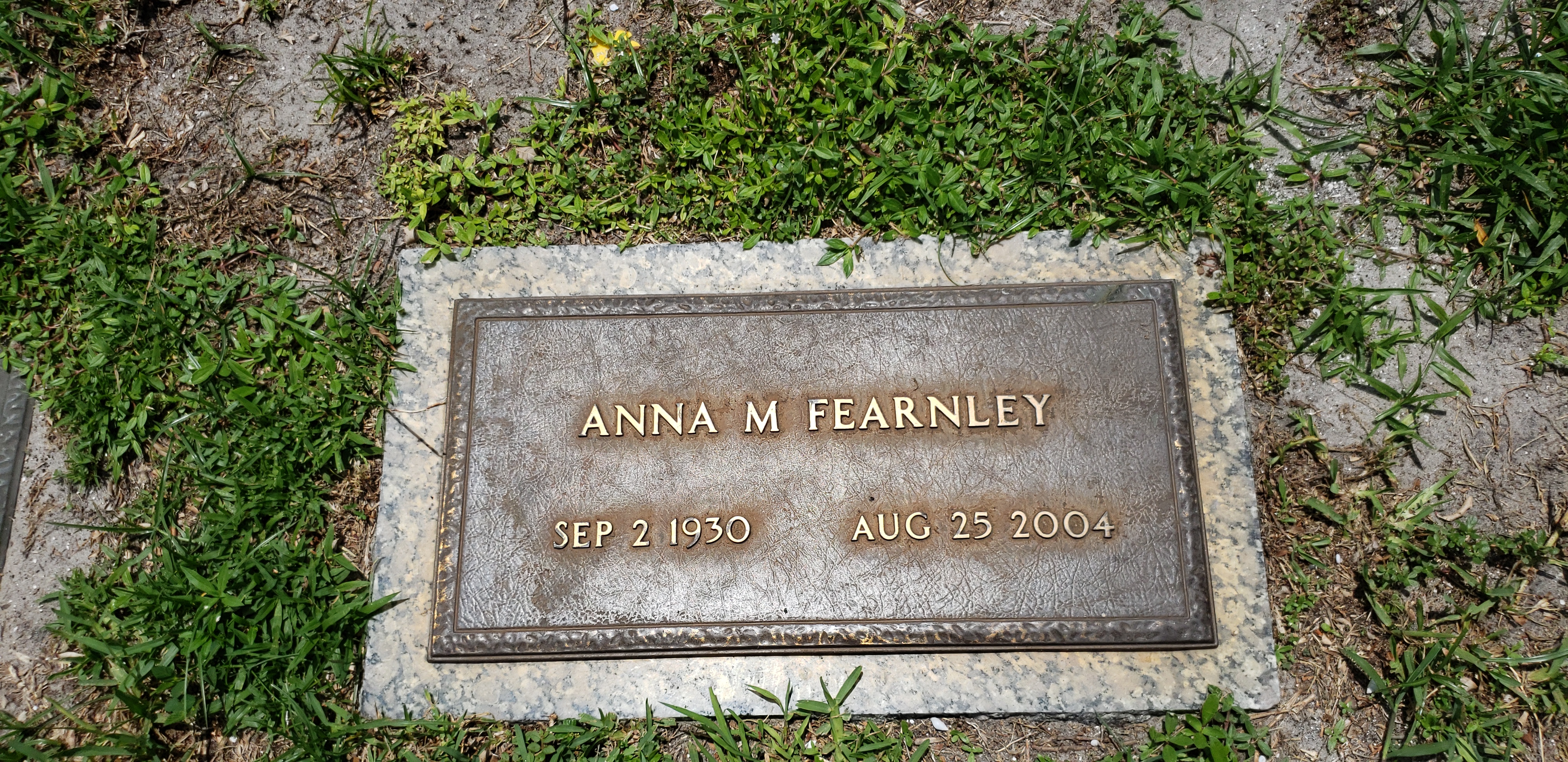 Anna M Fearnley