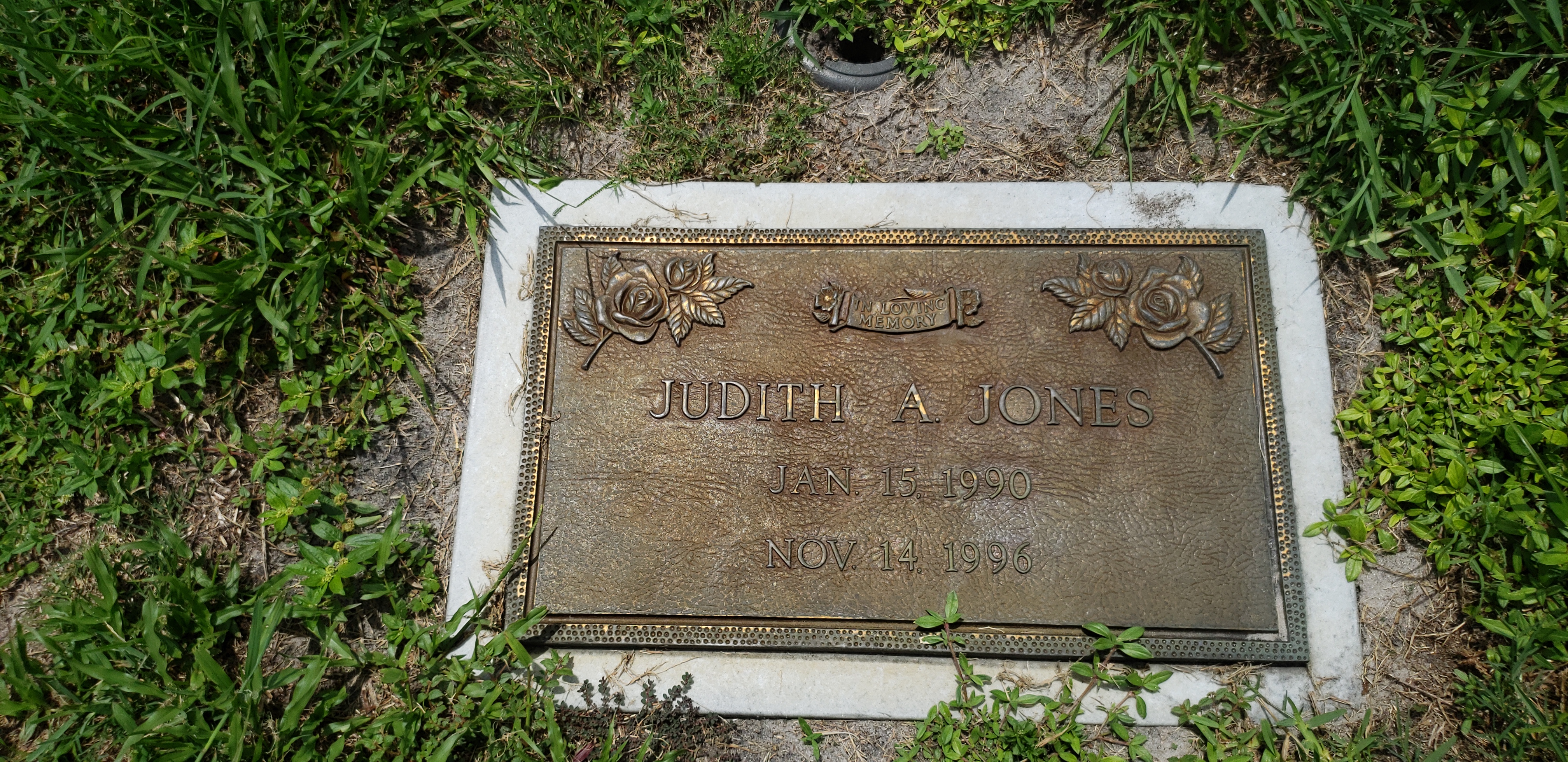 Judith A Jones
