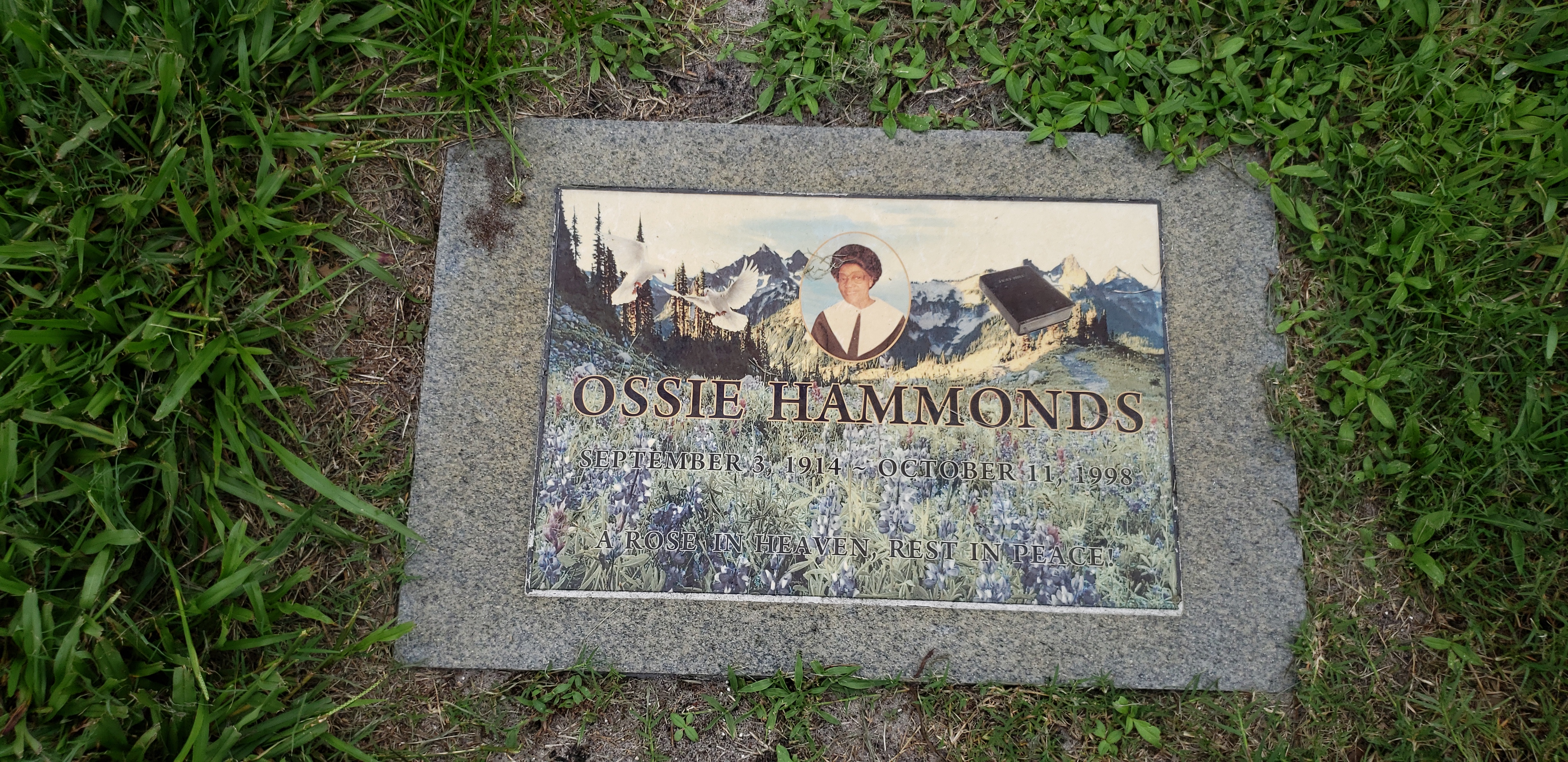 Ossie Hammonds