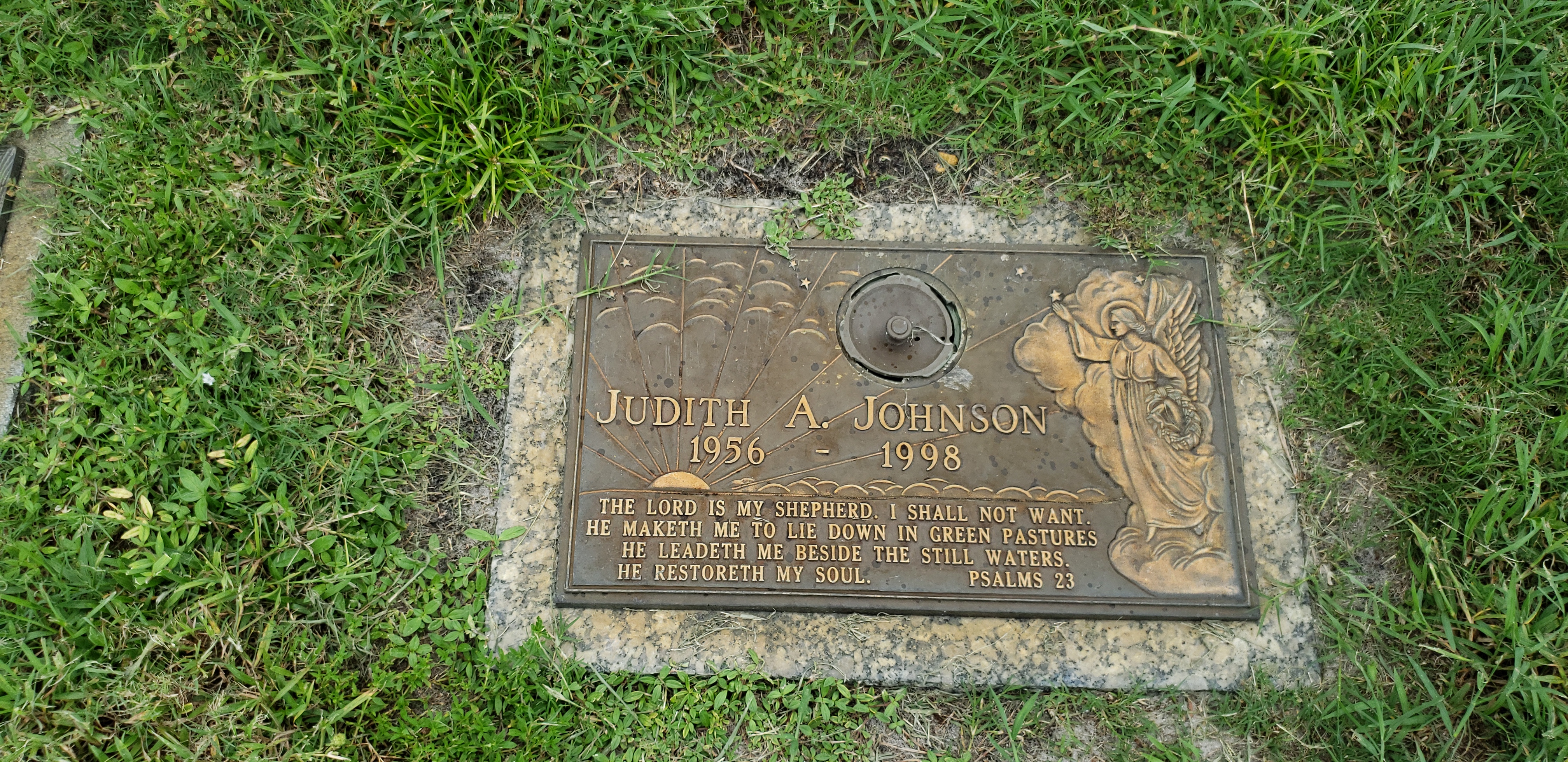 Judith A Johnson