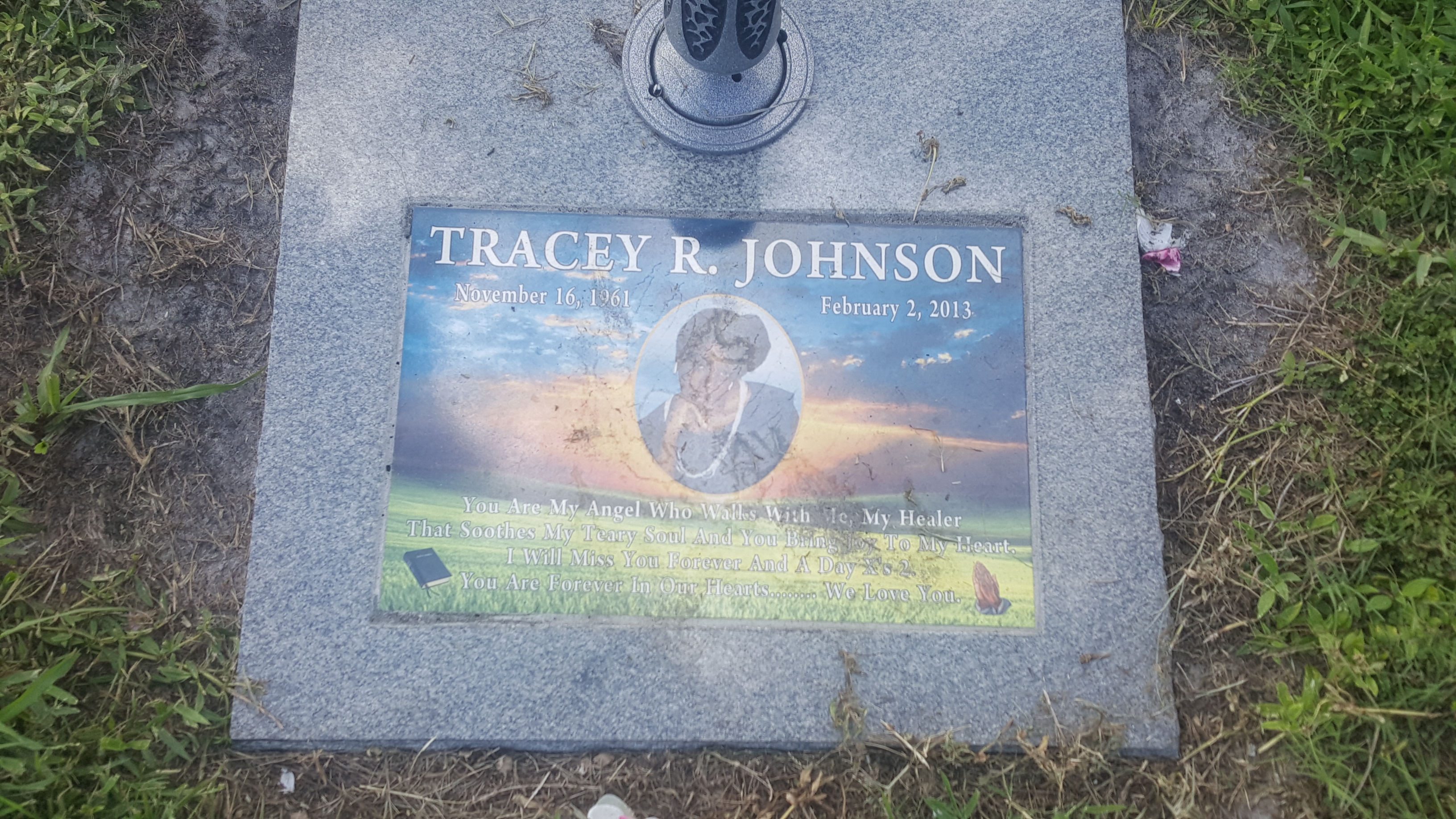 Tracey R Johnson