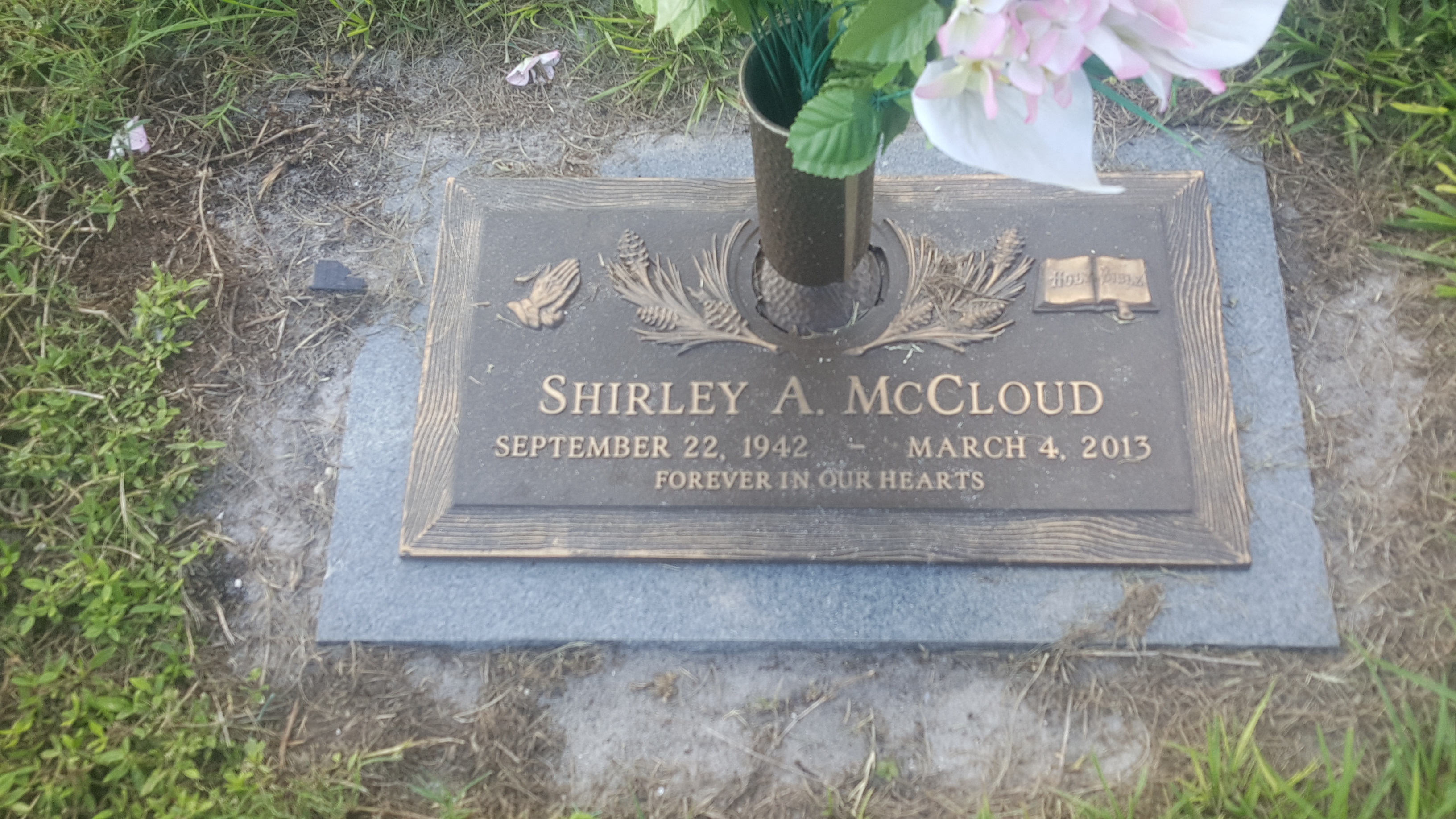 Shirley A McCloud