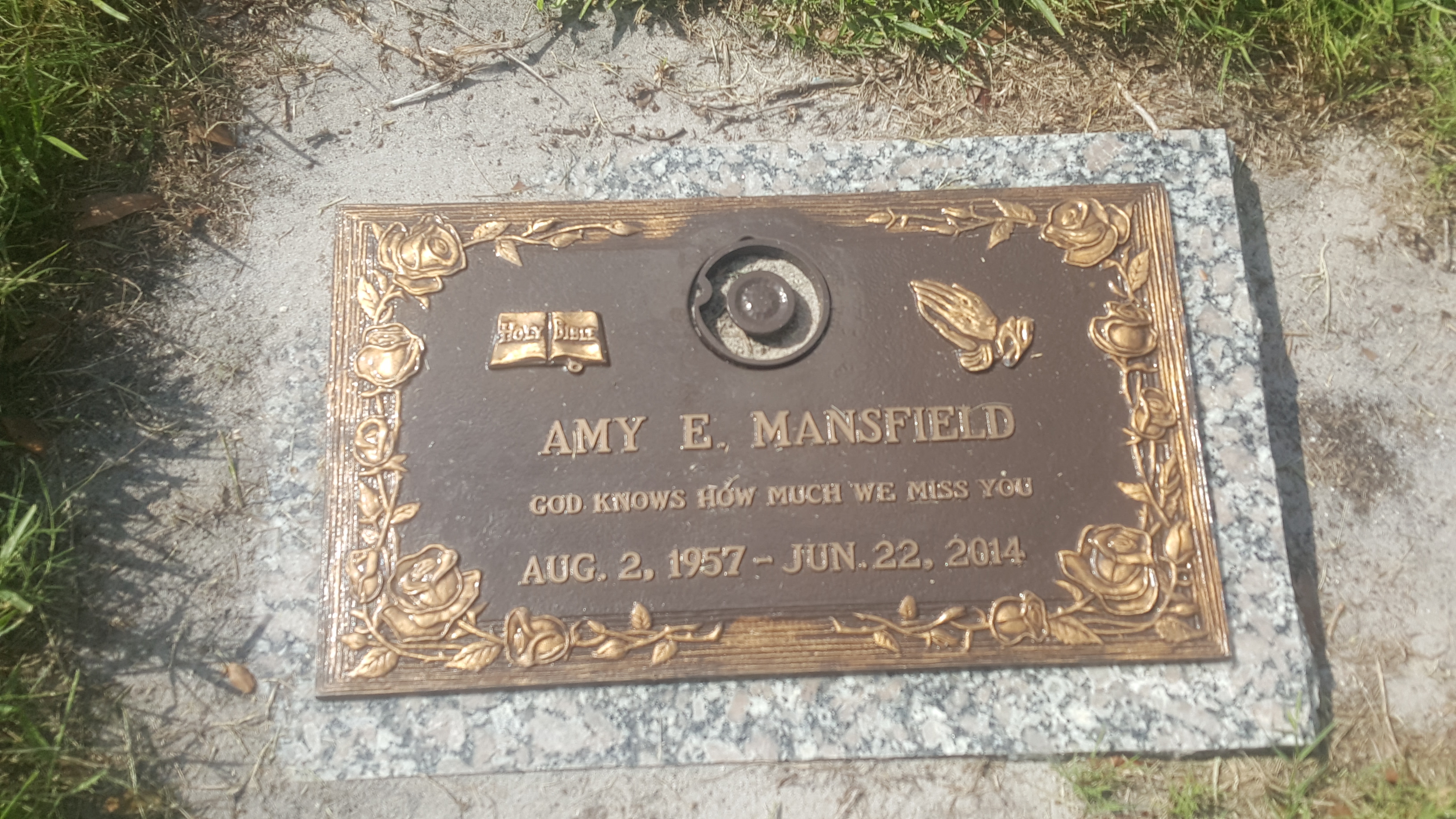 Amy E Mansfield