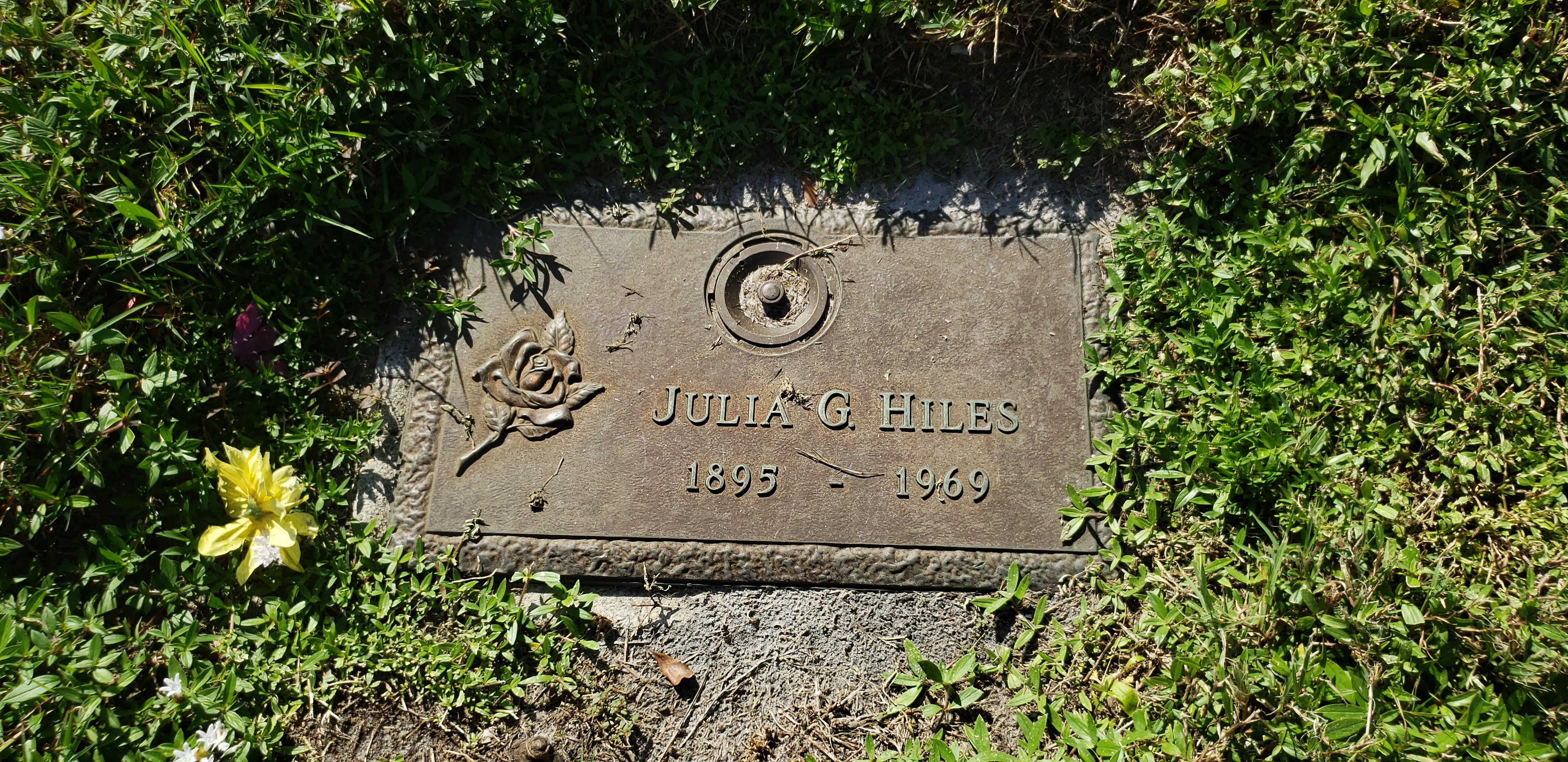 Julia G Hiles