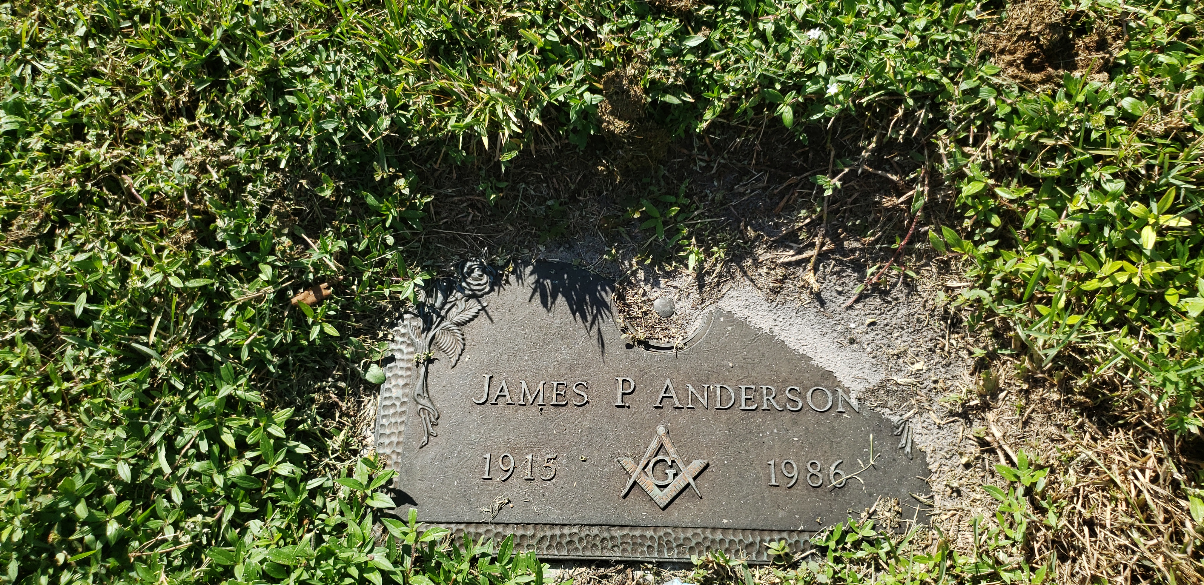James P Anderson
