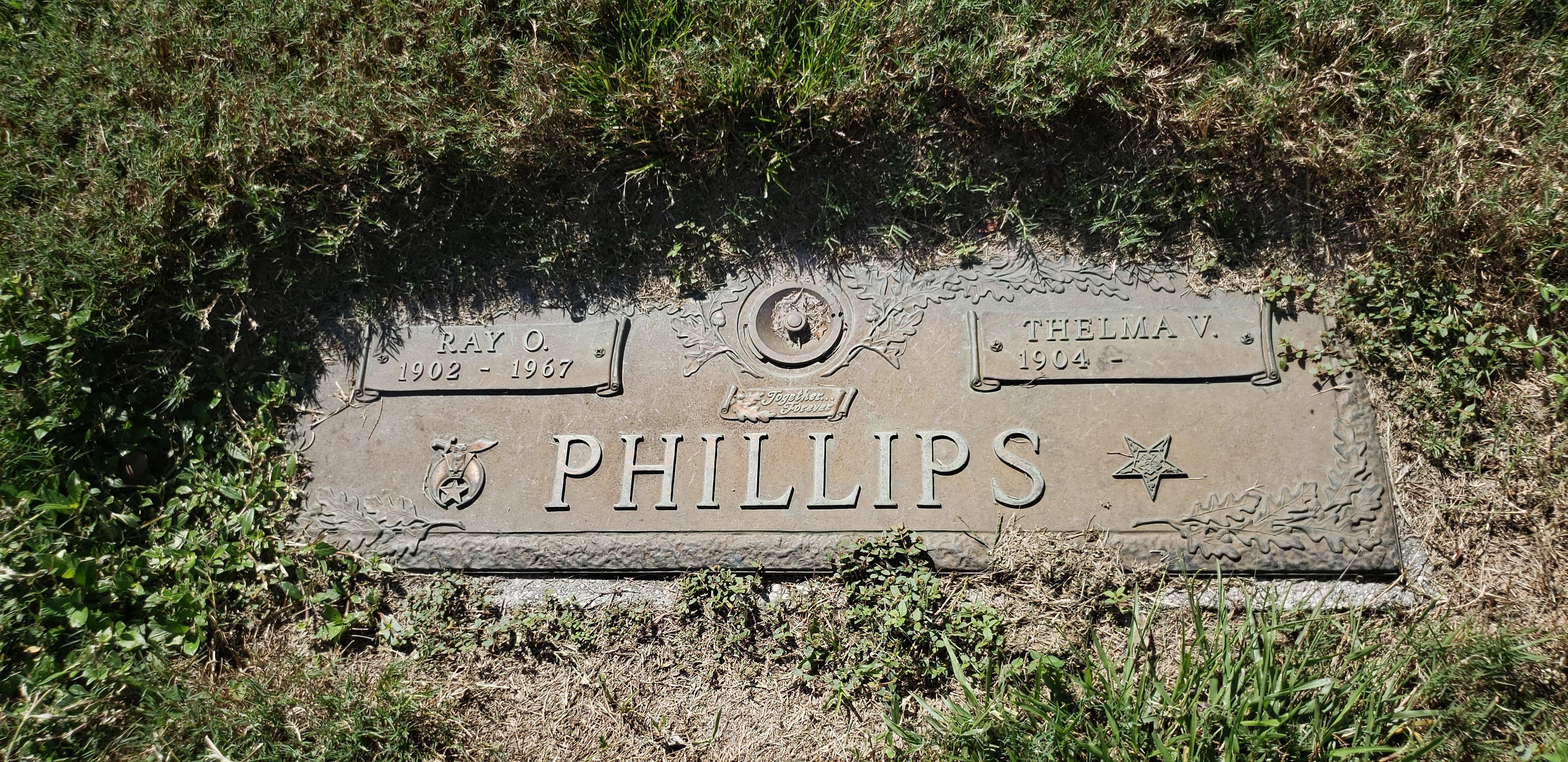 Thelma V Phillips