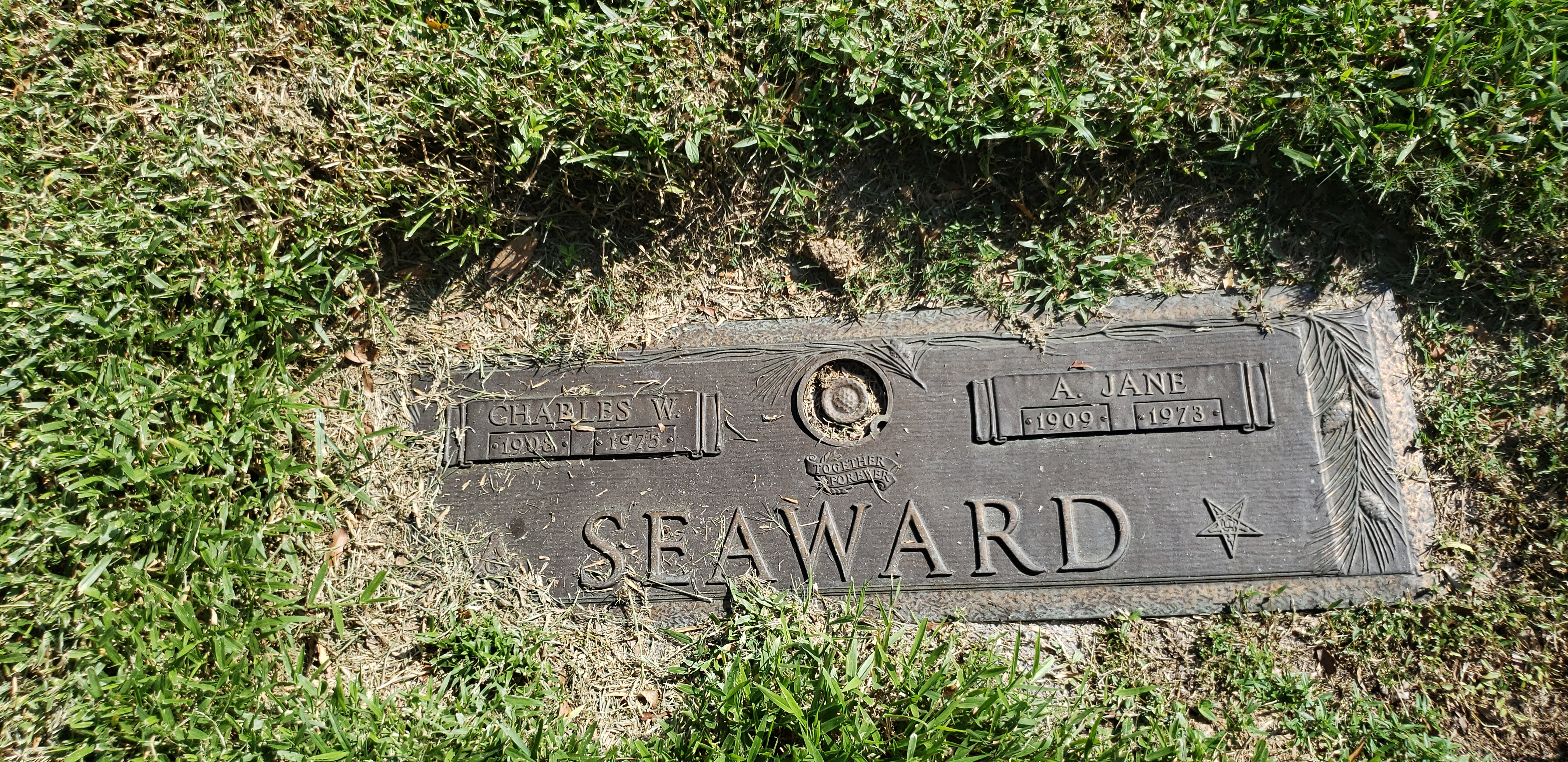 Charles W Seaward