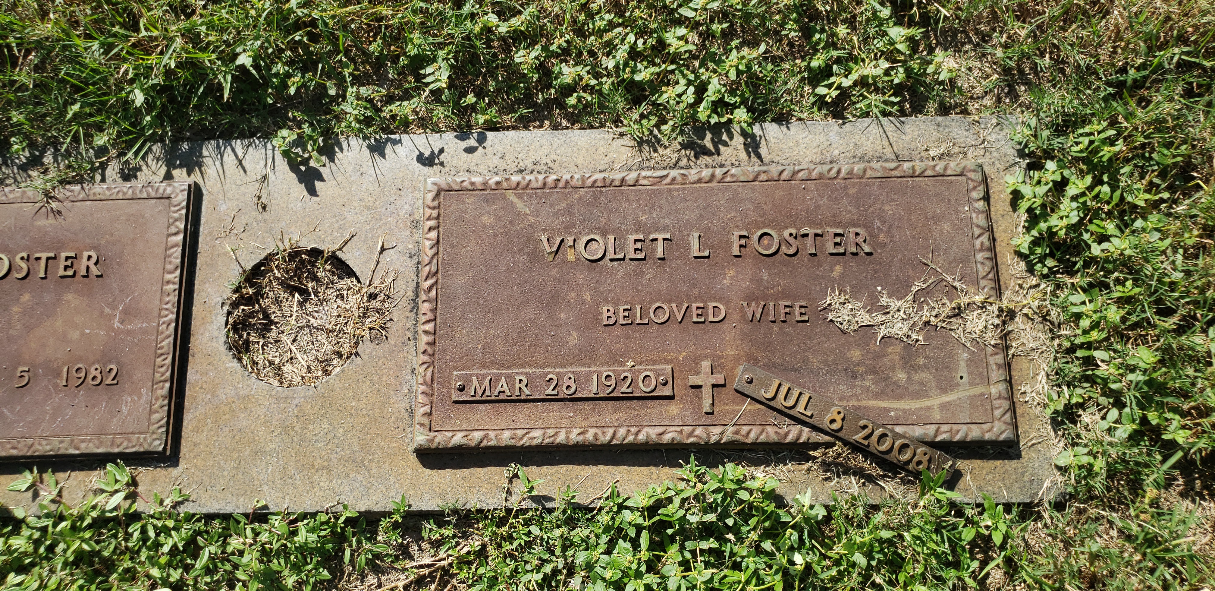 Violet L Foster