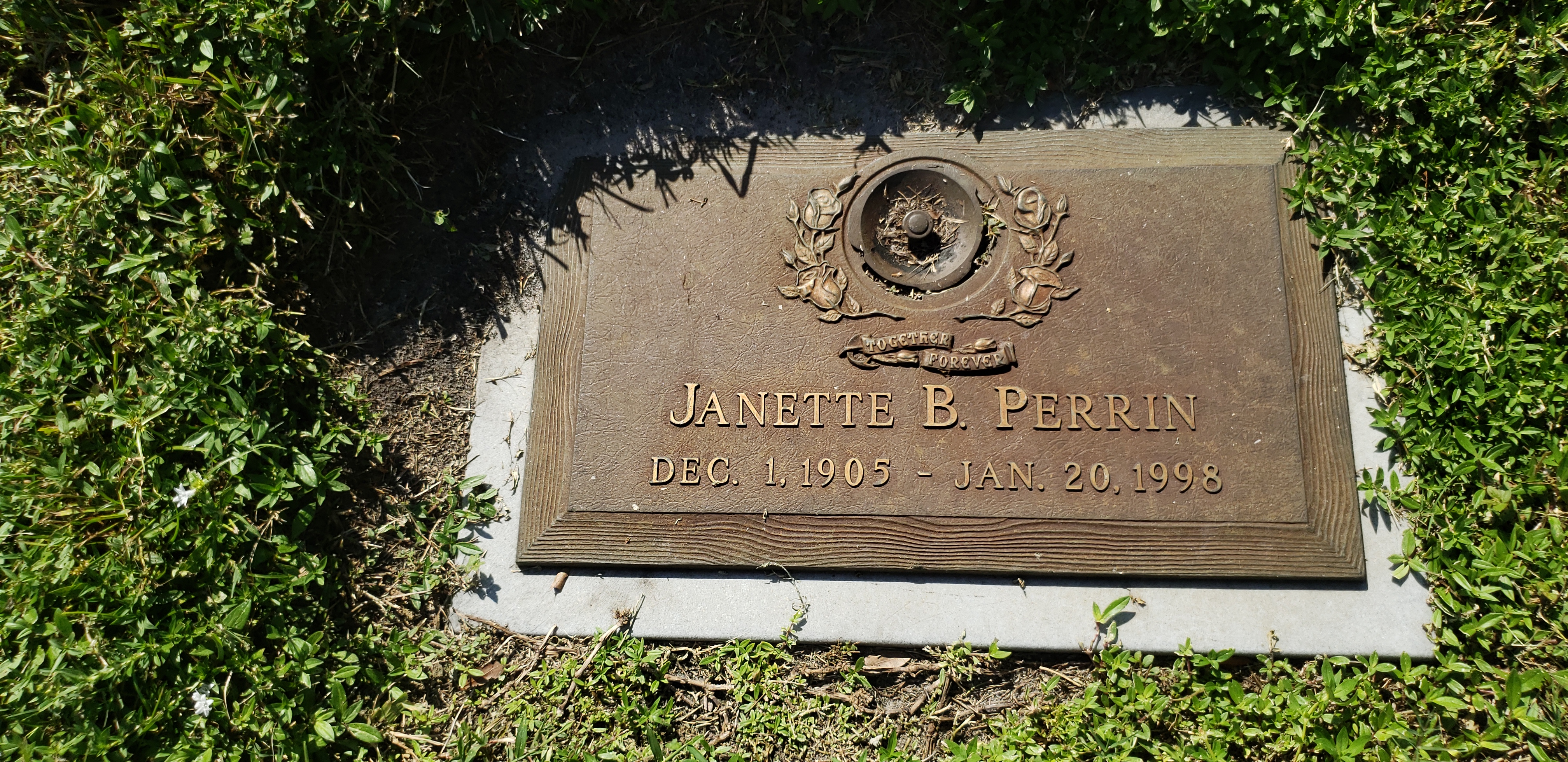 Janette B Perrin