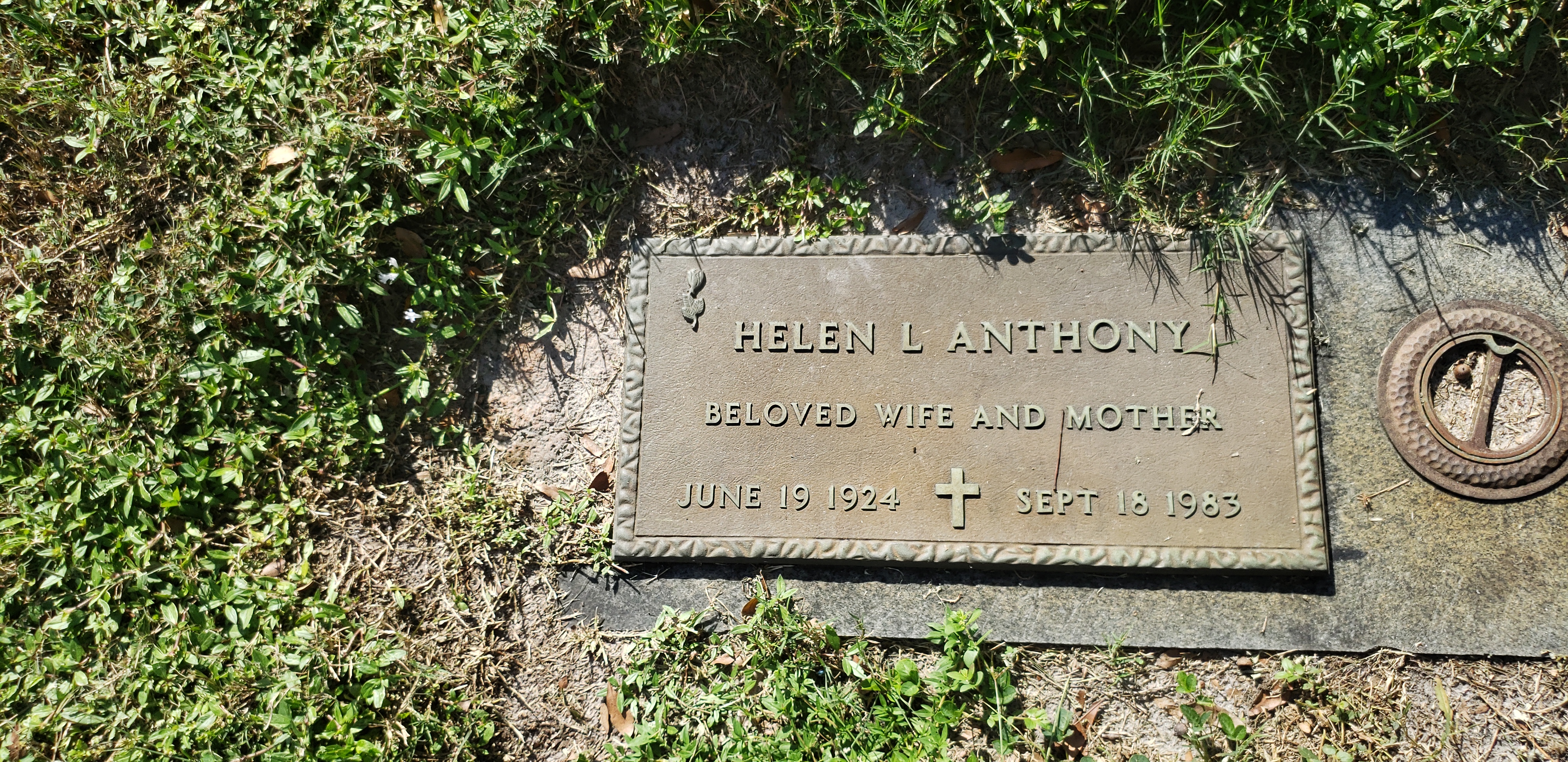 Helen L Anthony