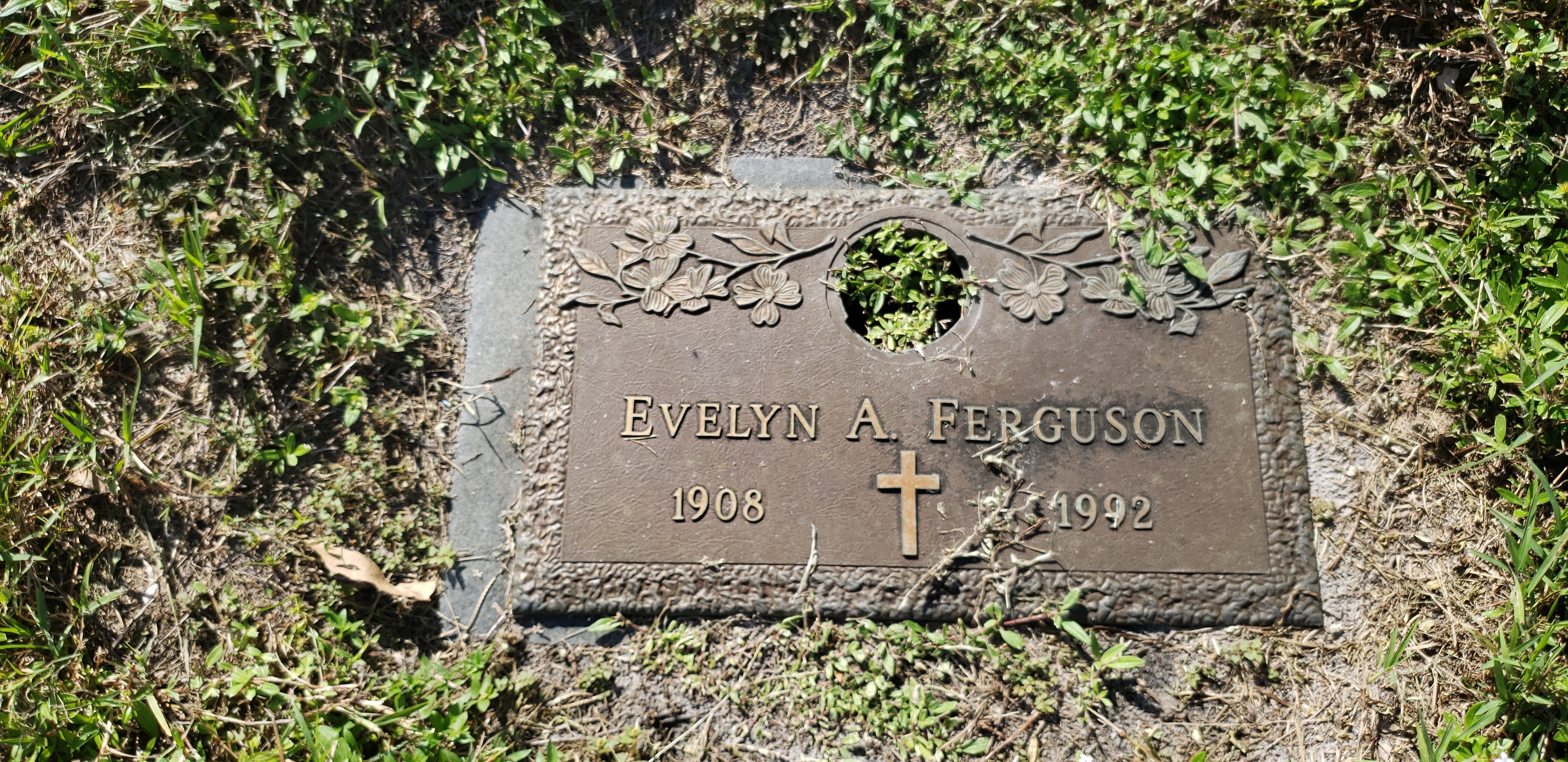 Evelyn A Ferguson
