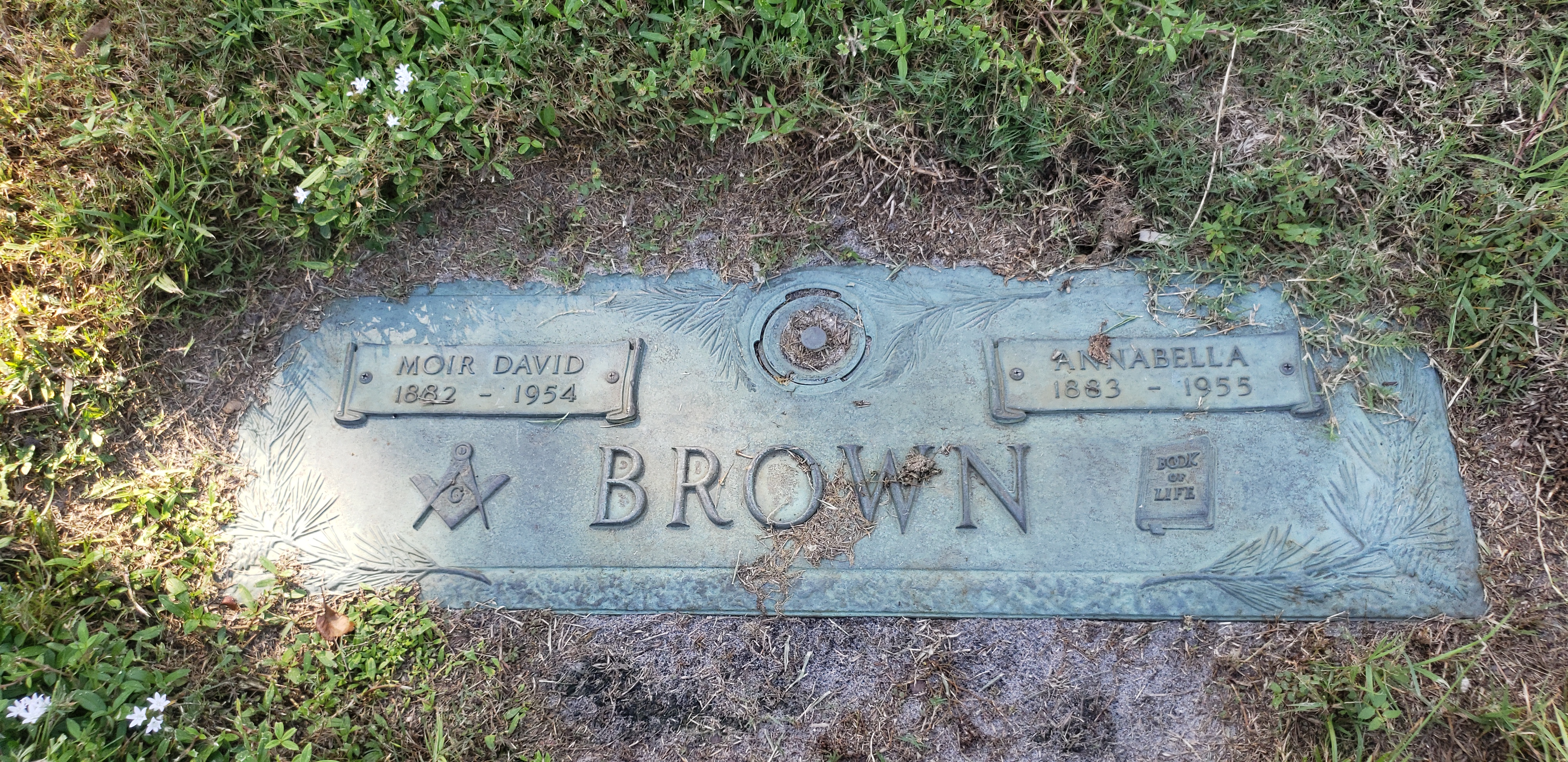 Moir David Brown