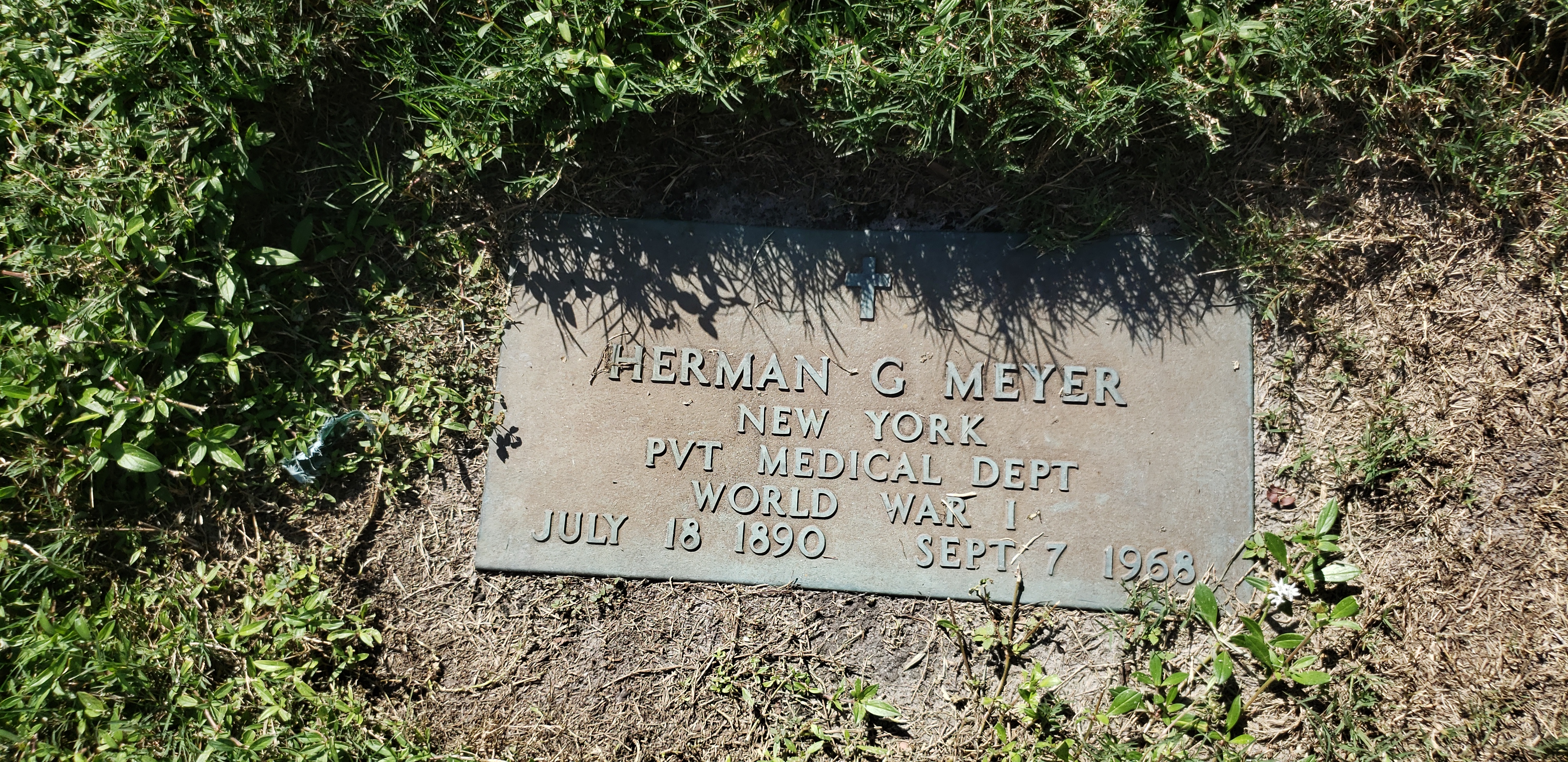 Herman G Meyer