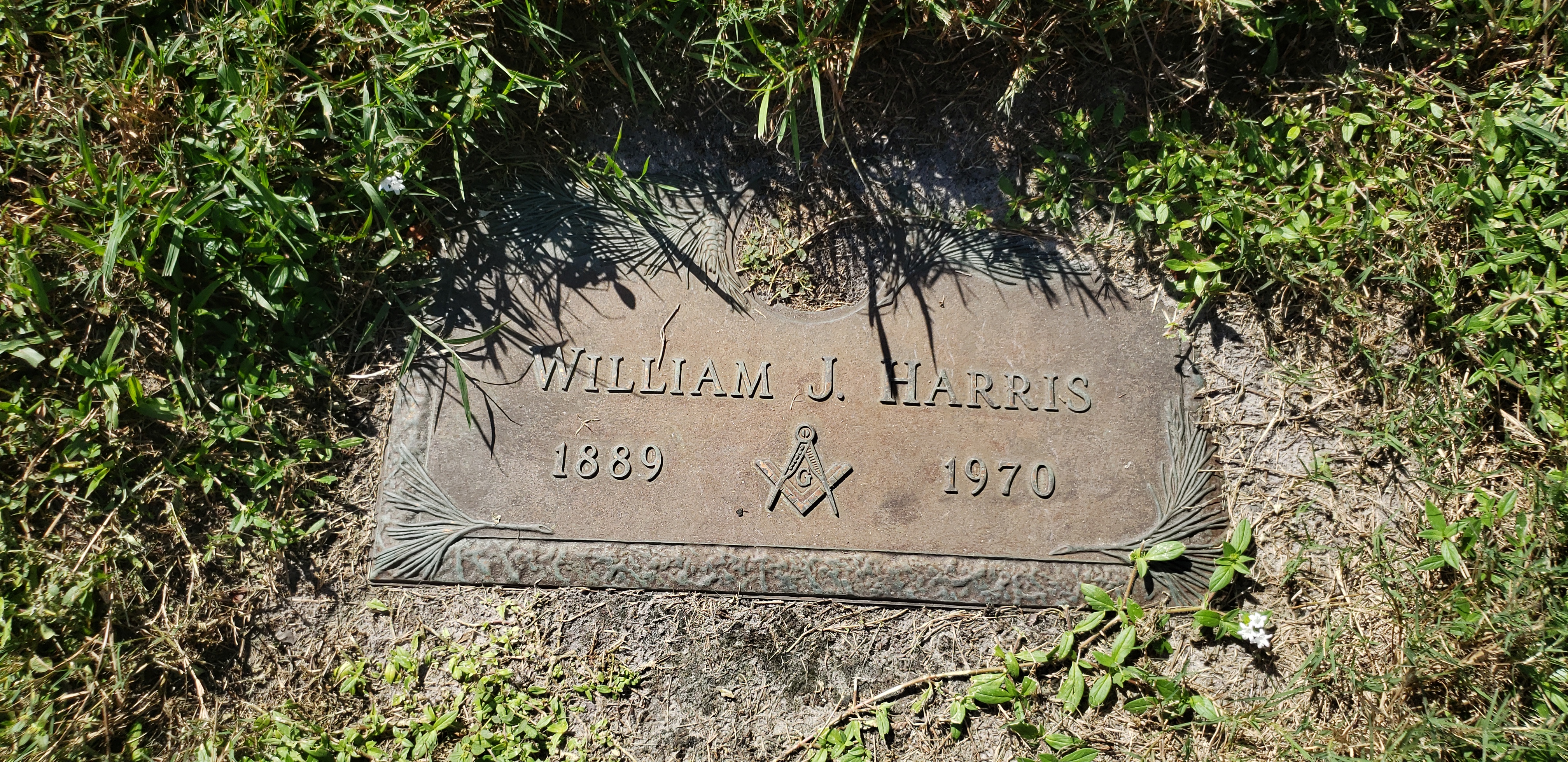 William J Harris