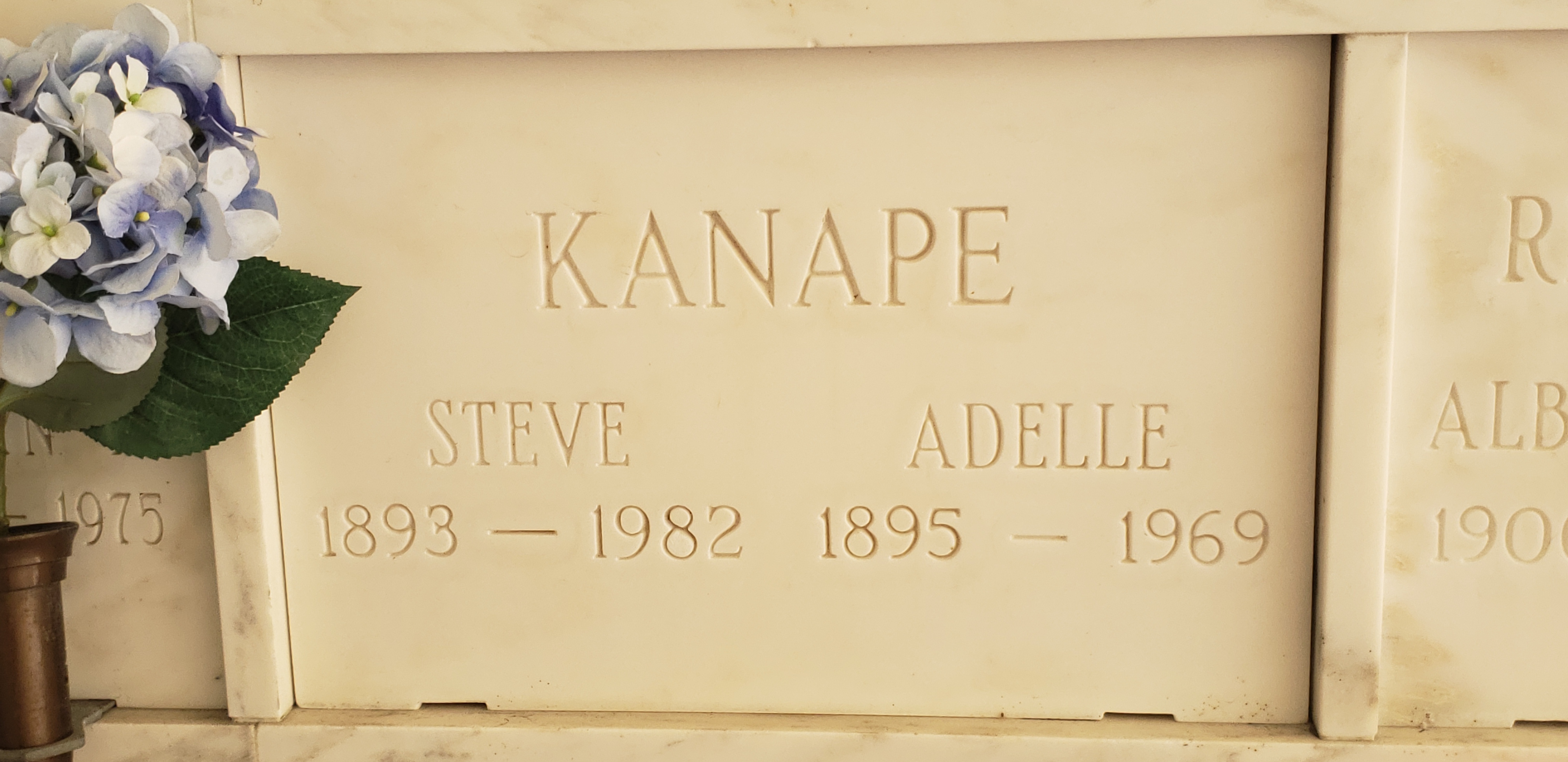 Steve Kanape