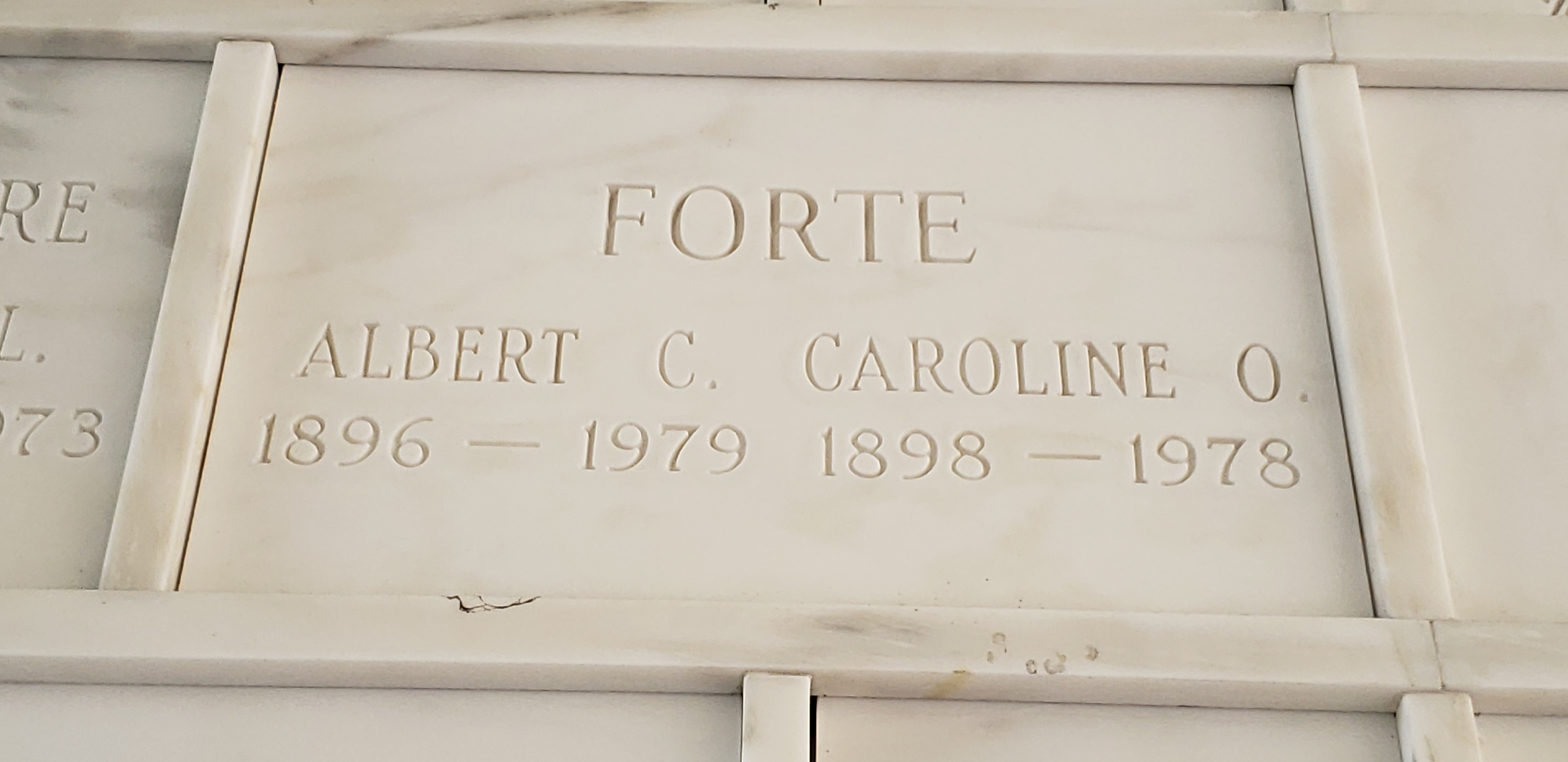 Albert C Forte