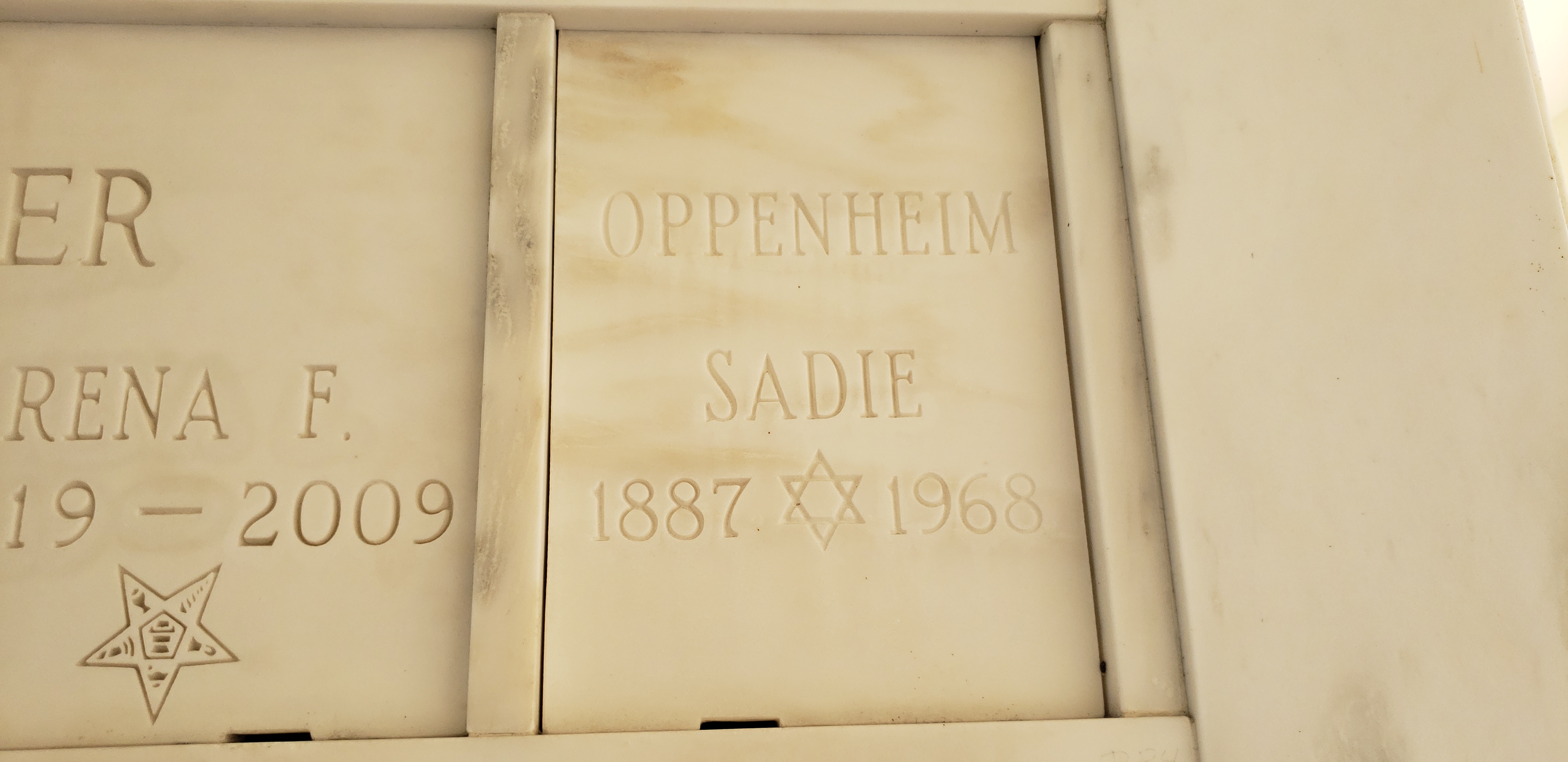 Sadie Oppenheim