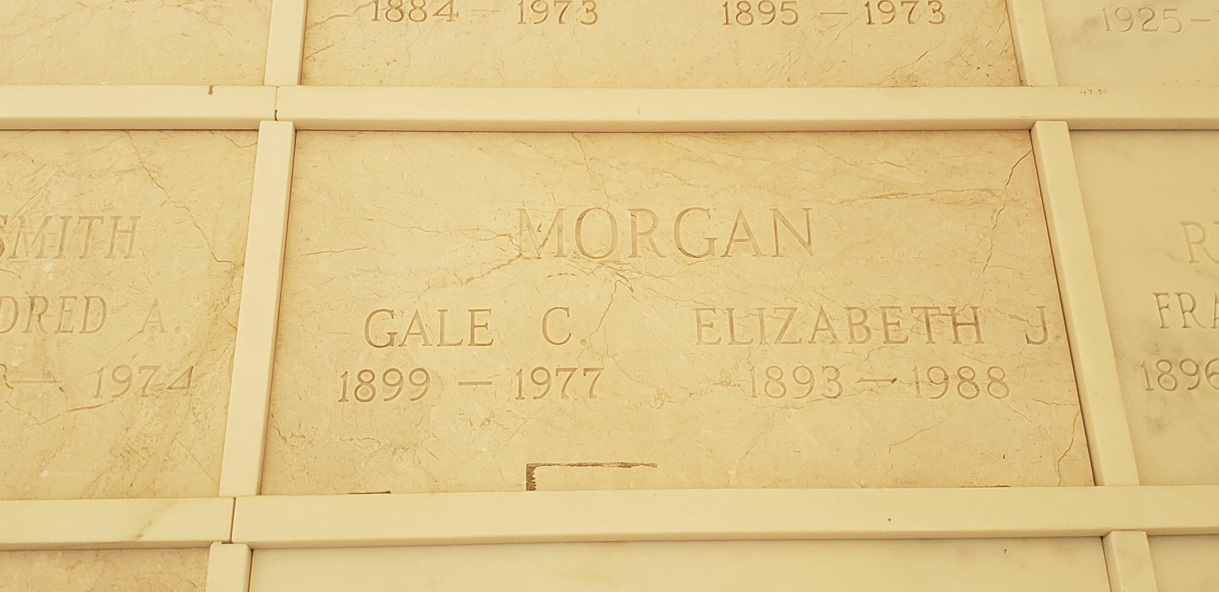 Elizabeth J Morgan
