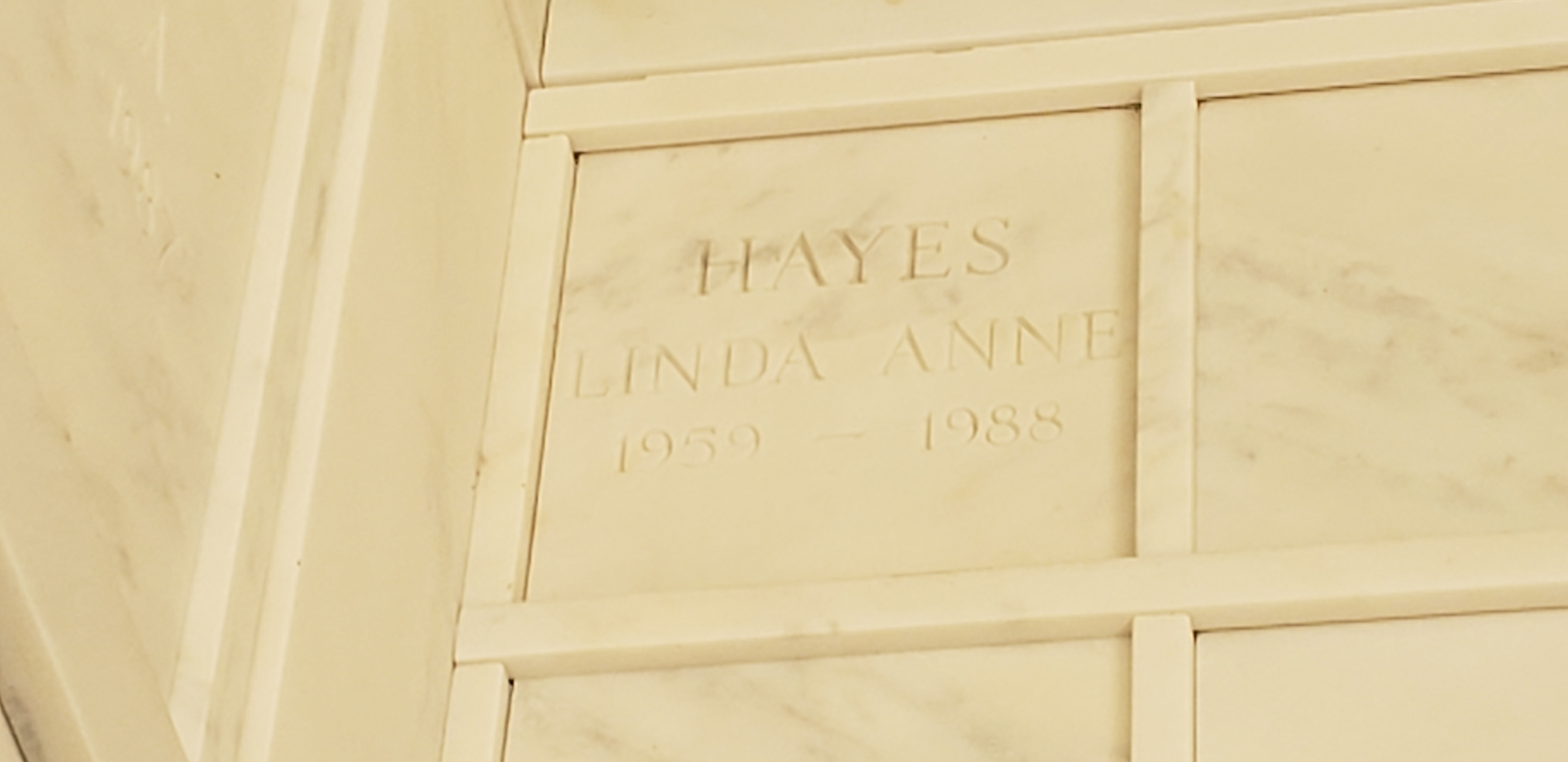 Linda Anne Hayes