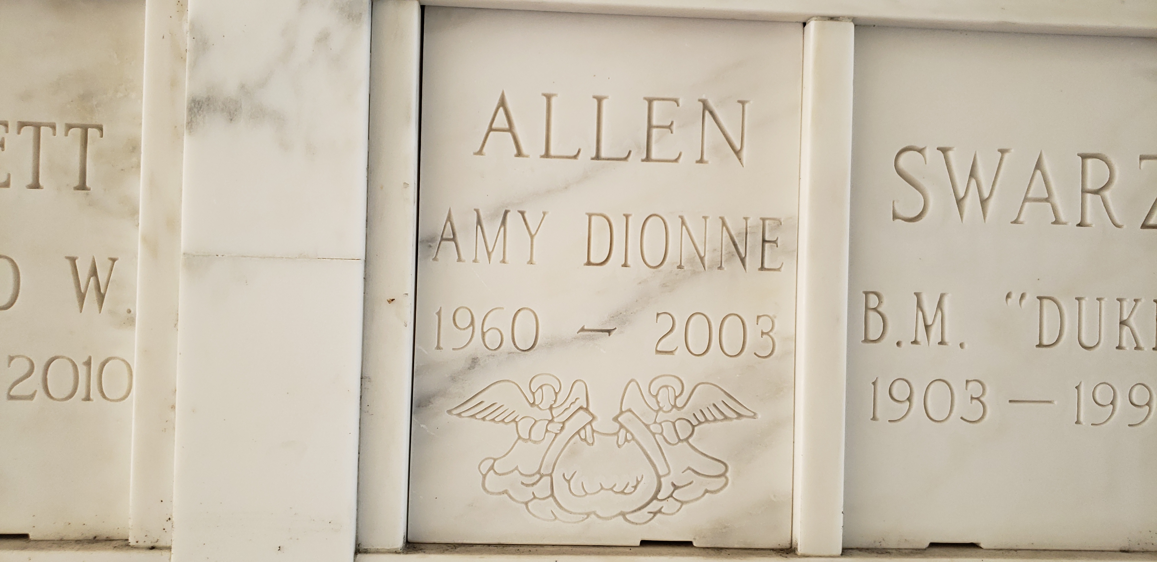 Amy Dionne Allen