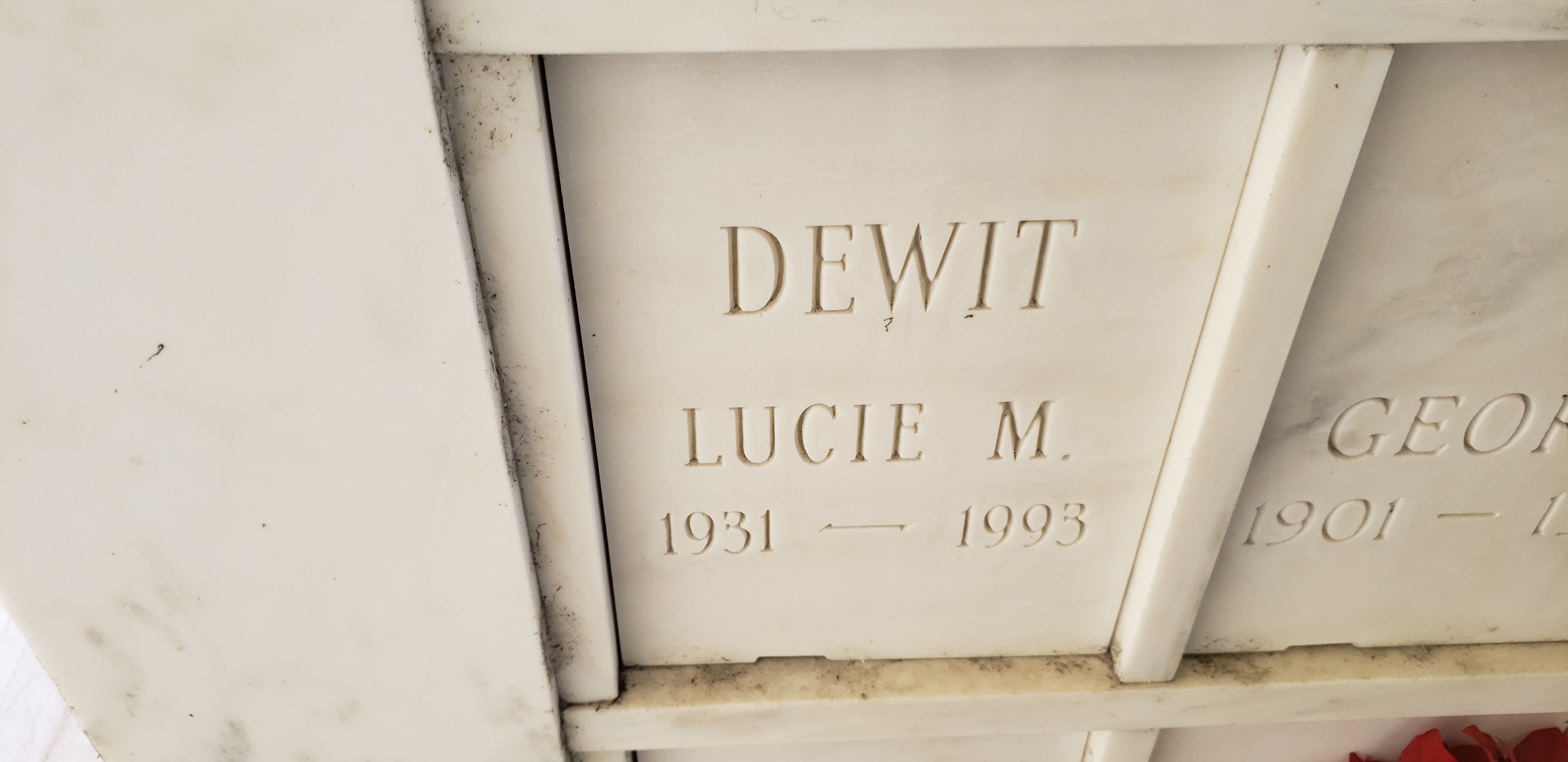 Lucie M Dewit