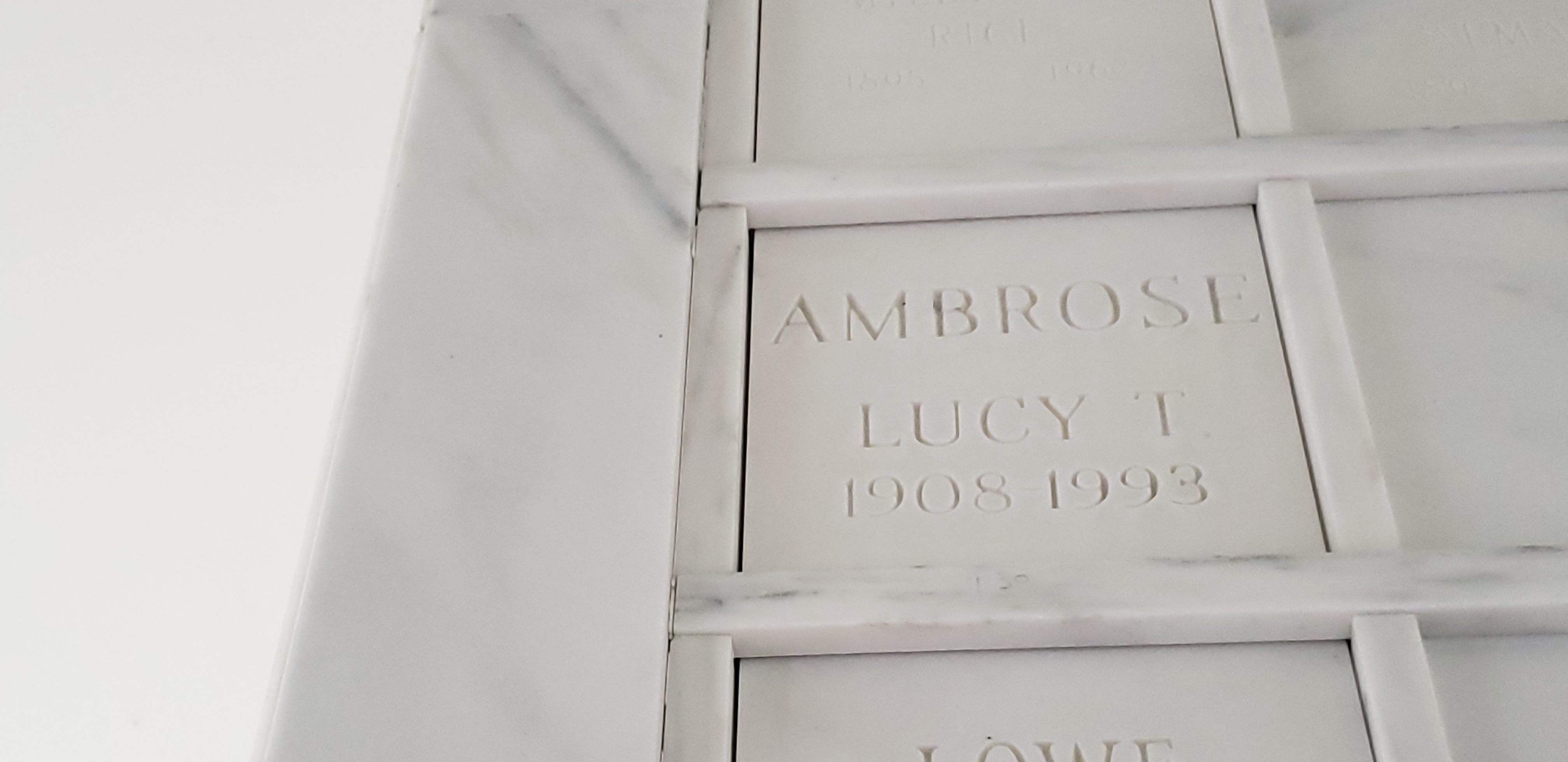 Lucy T Ambrose