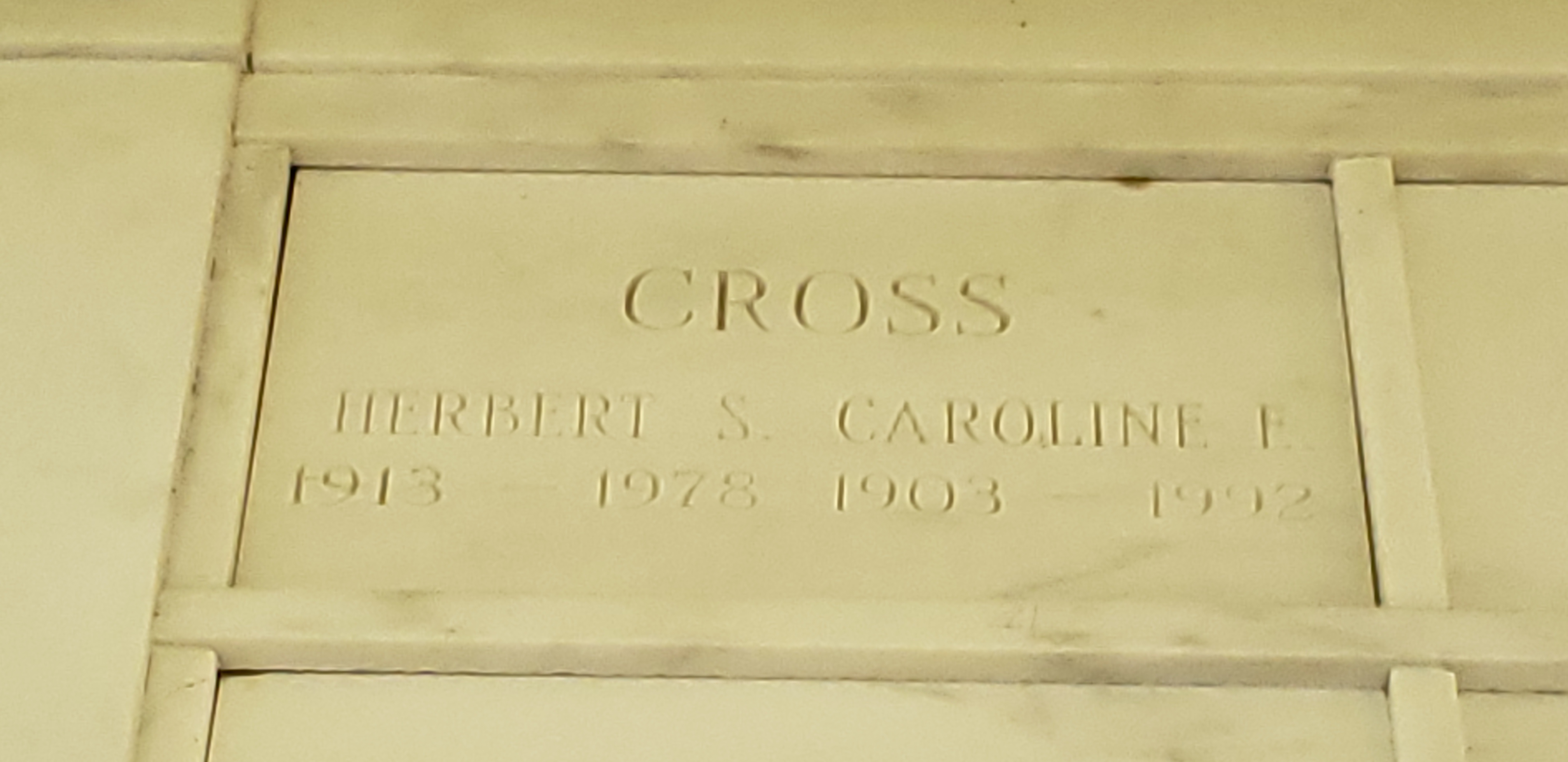 Caroline E Cross