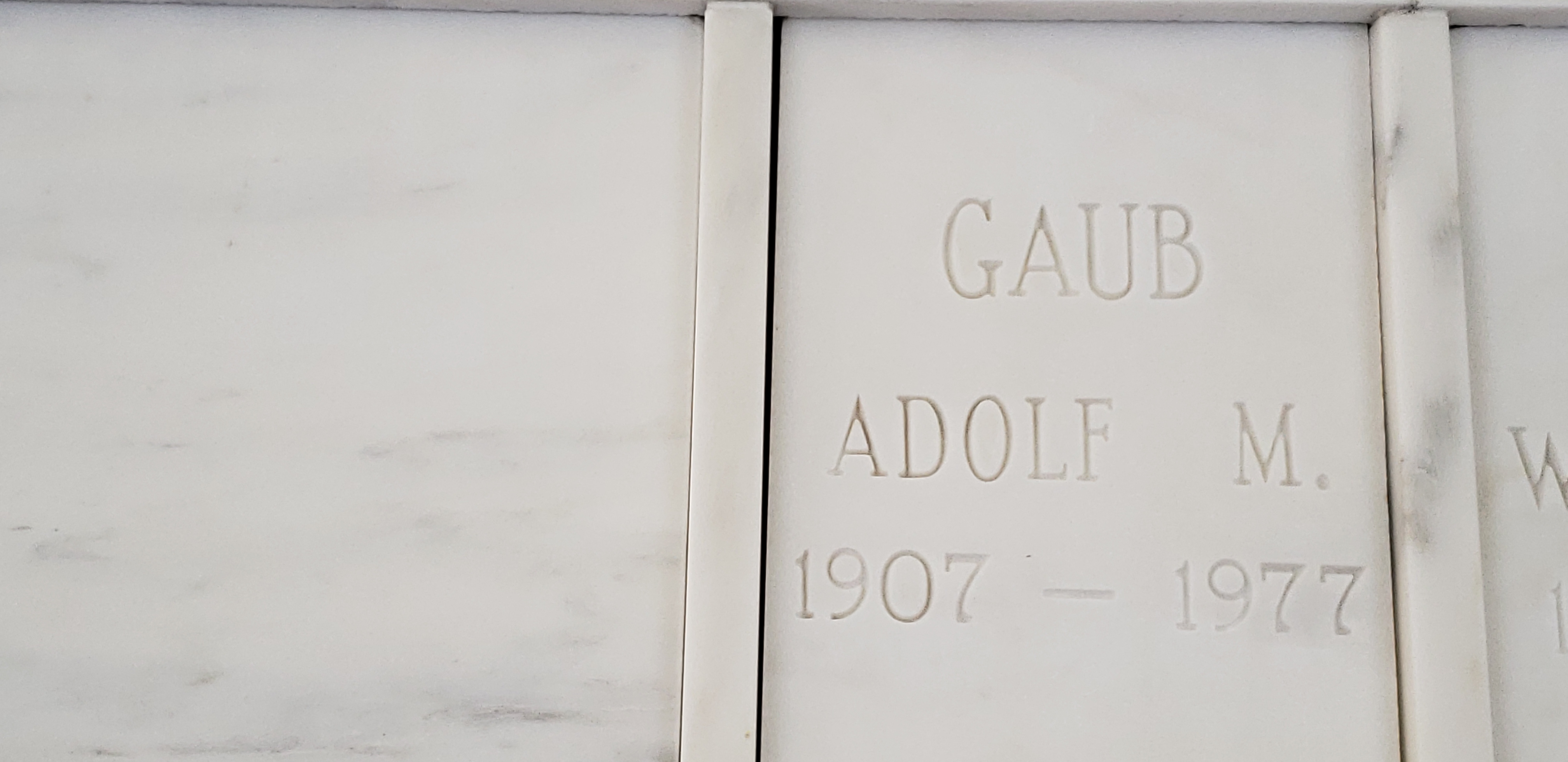 Adolf M Gaub