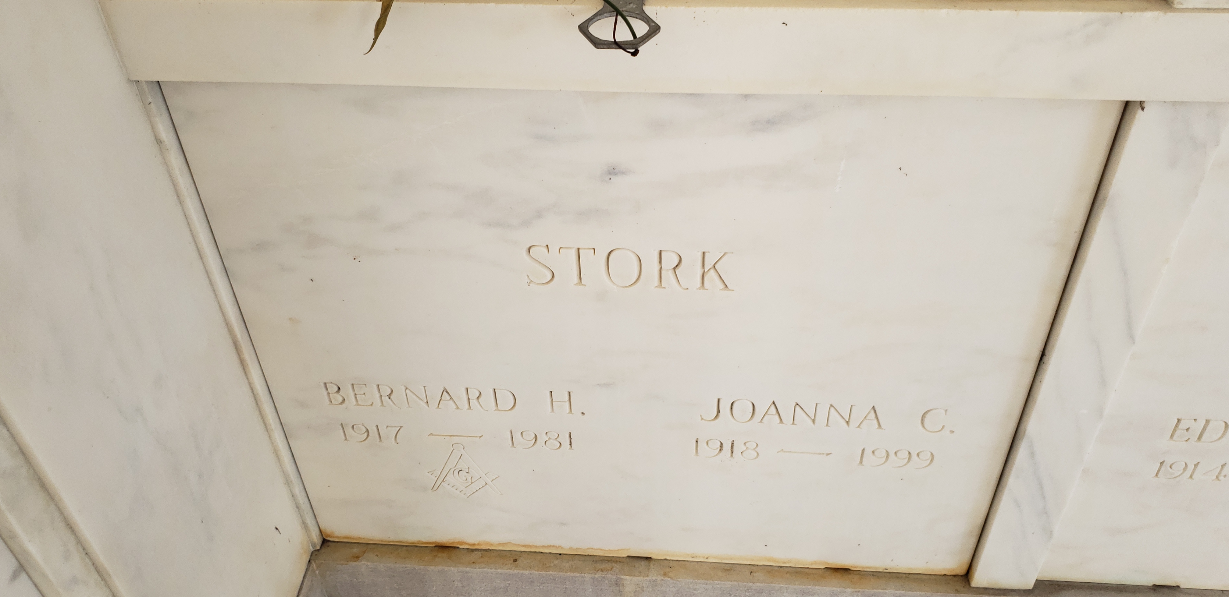 Joanna C Stork