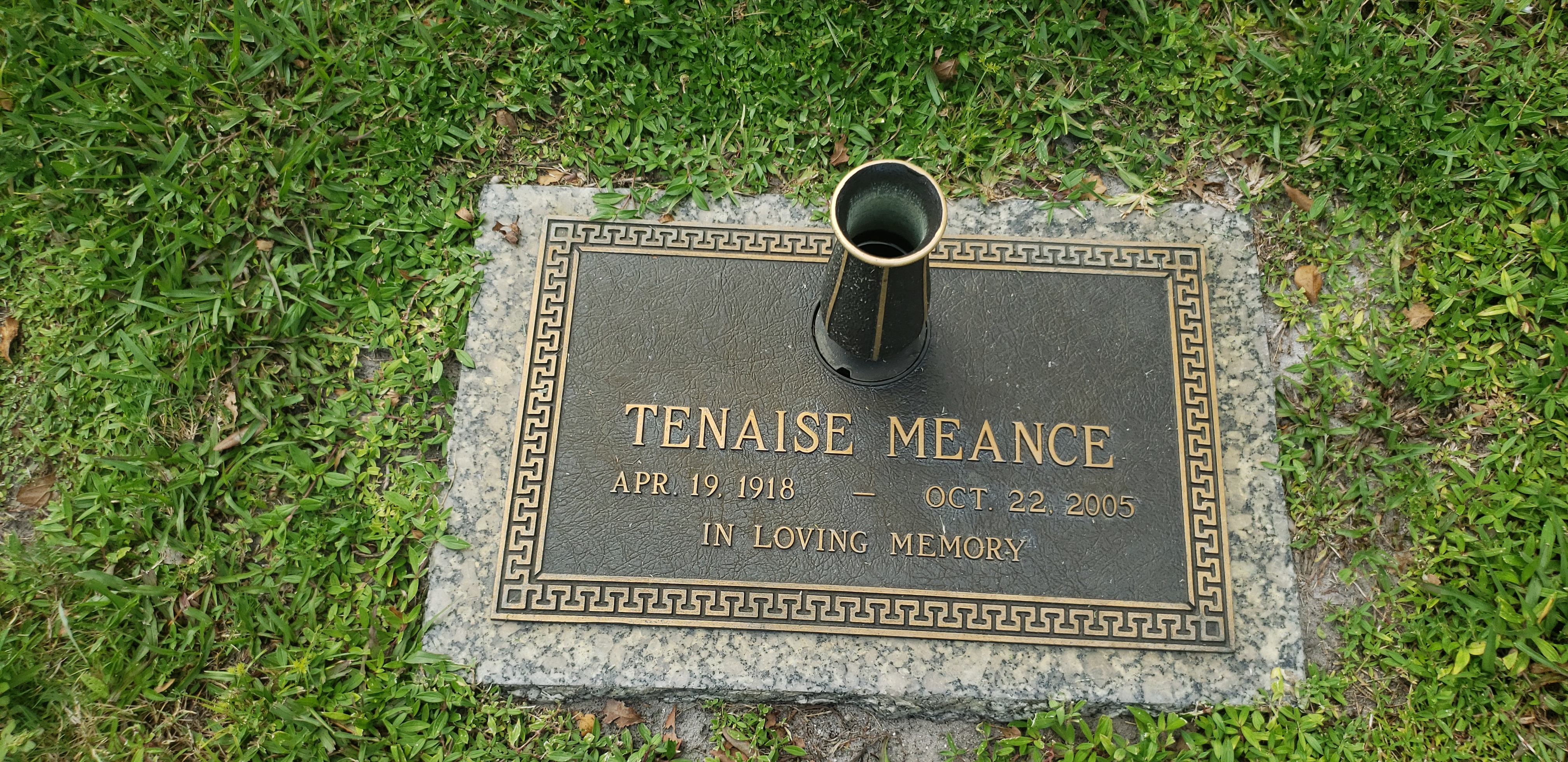 Tenaise Meance