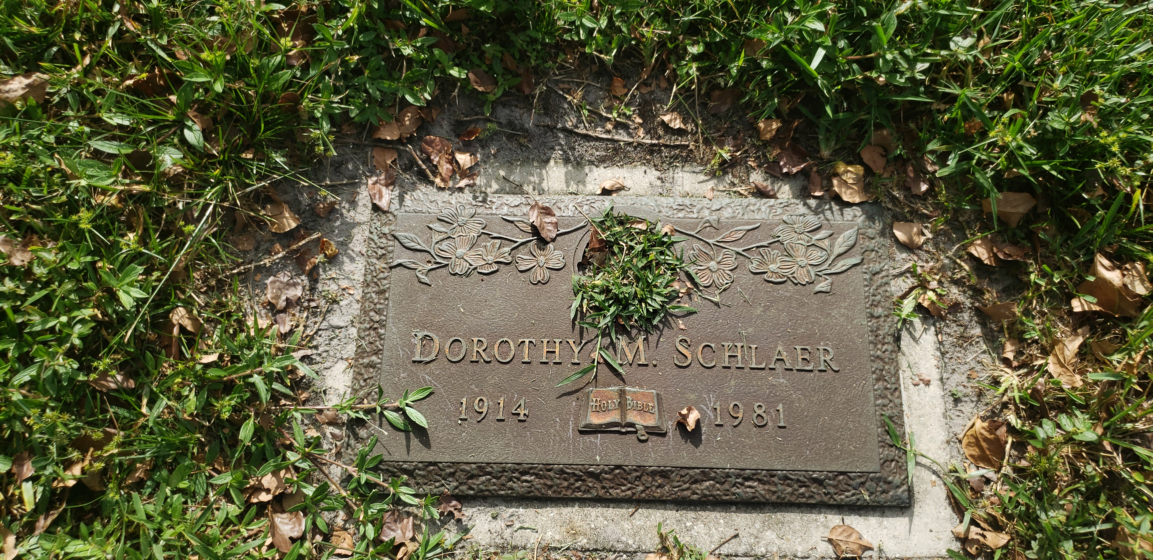 Dorothy M Schlaer
