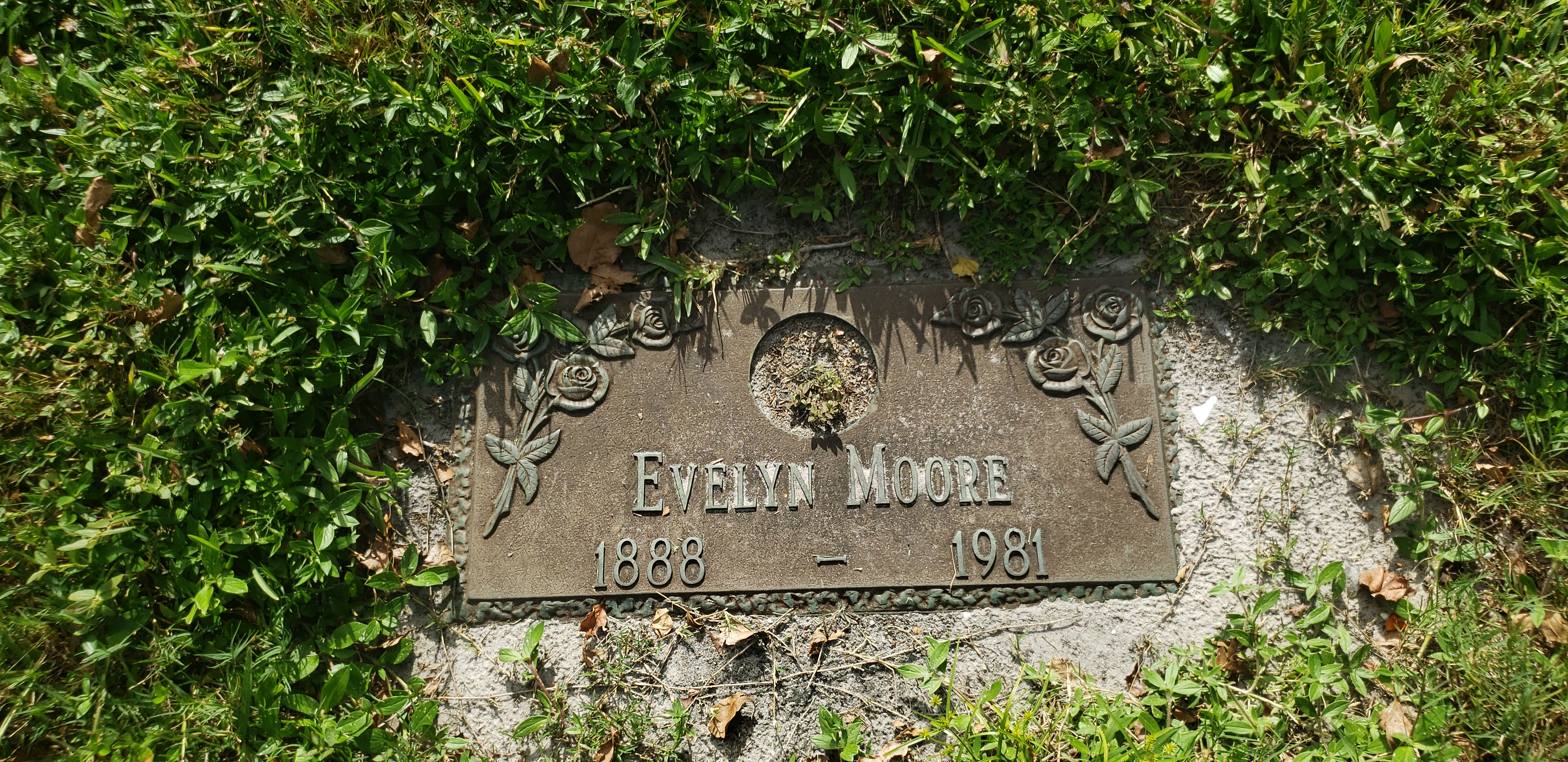Evelyn Moore