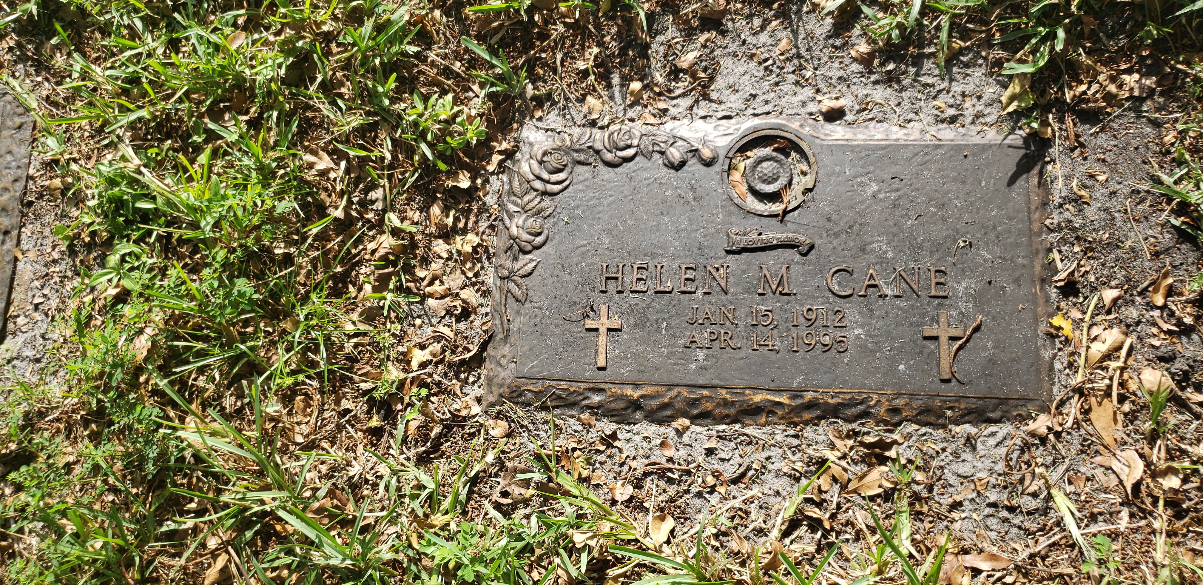 Helen M Cane