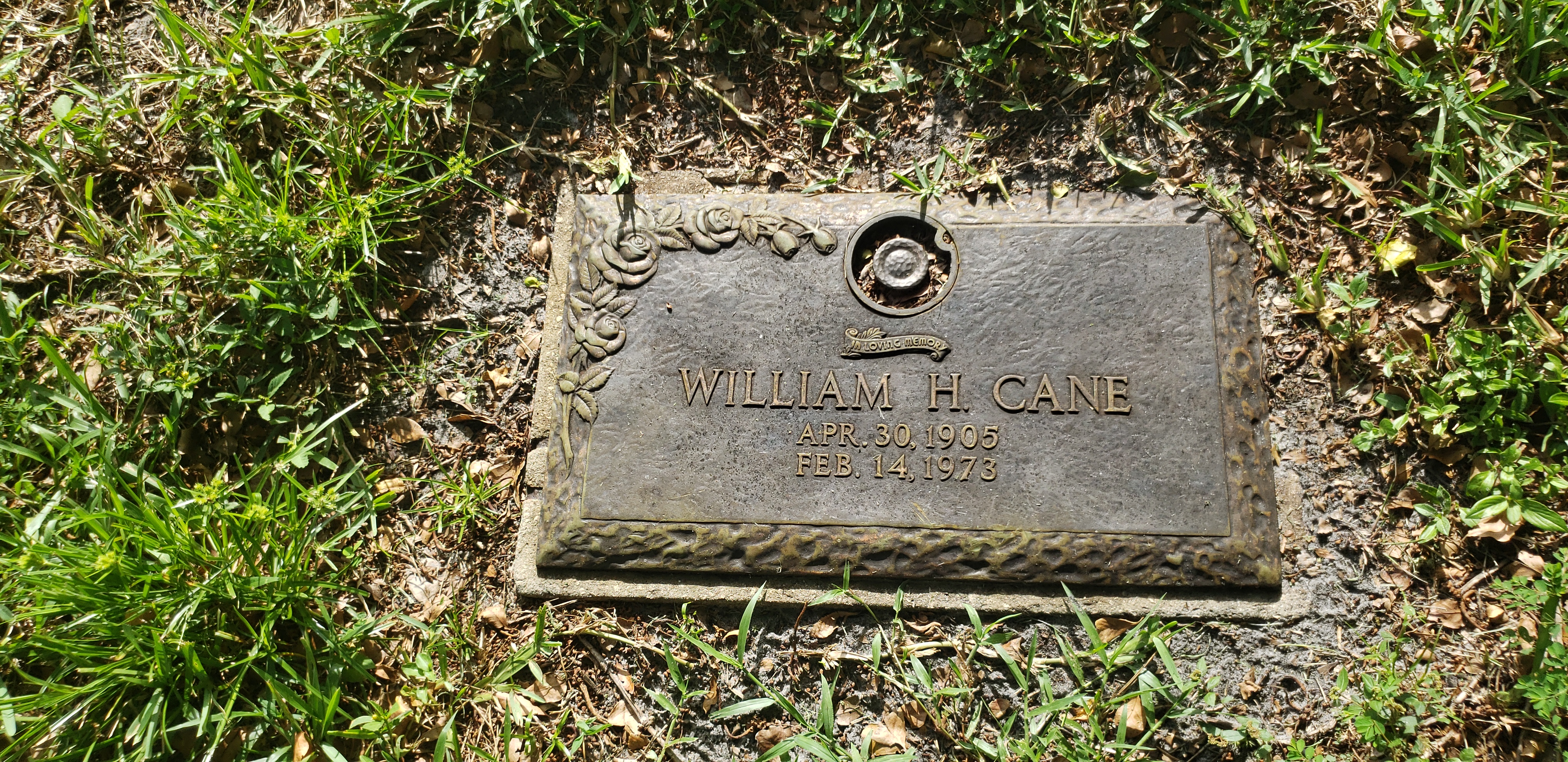 William H Cane