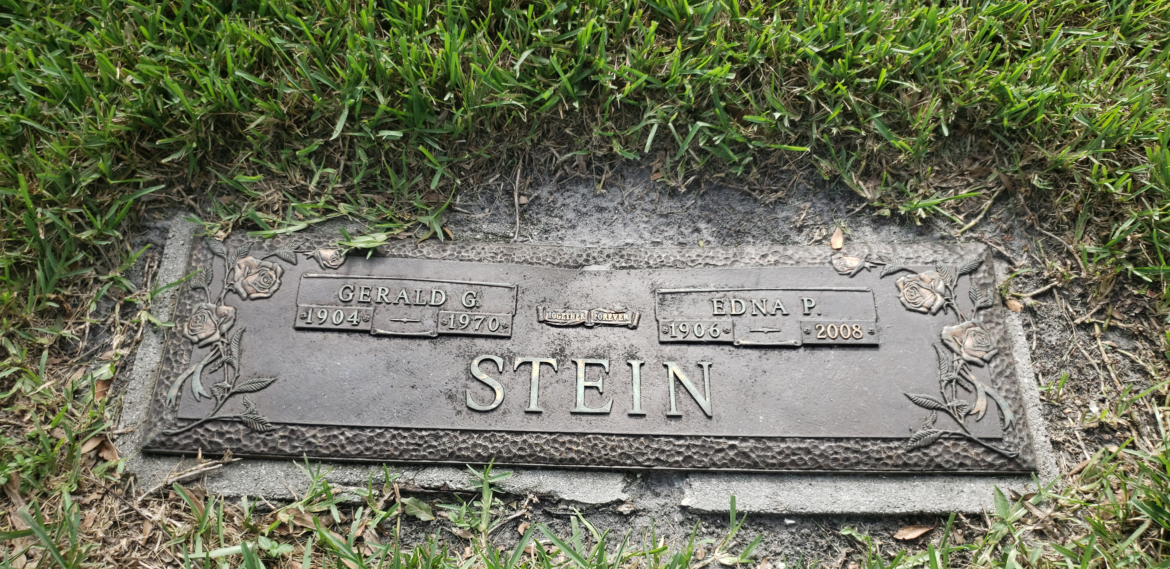 Edna P Stein