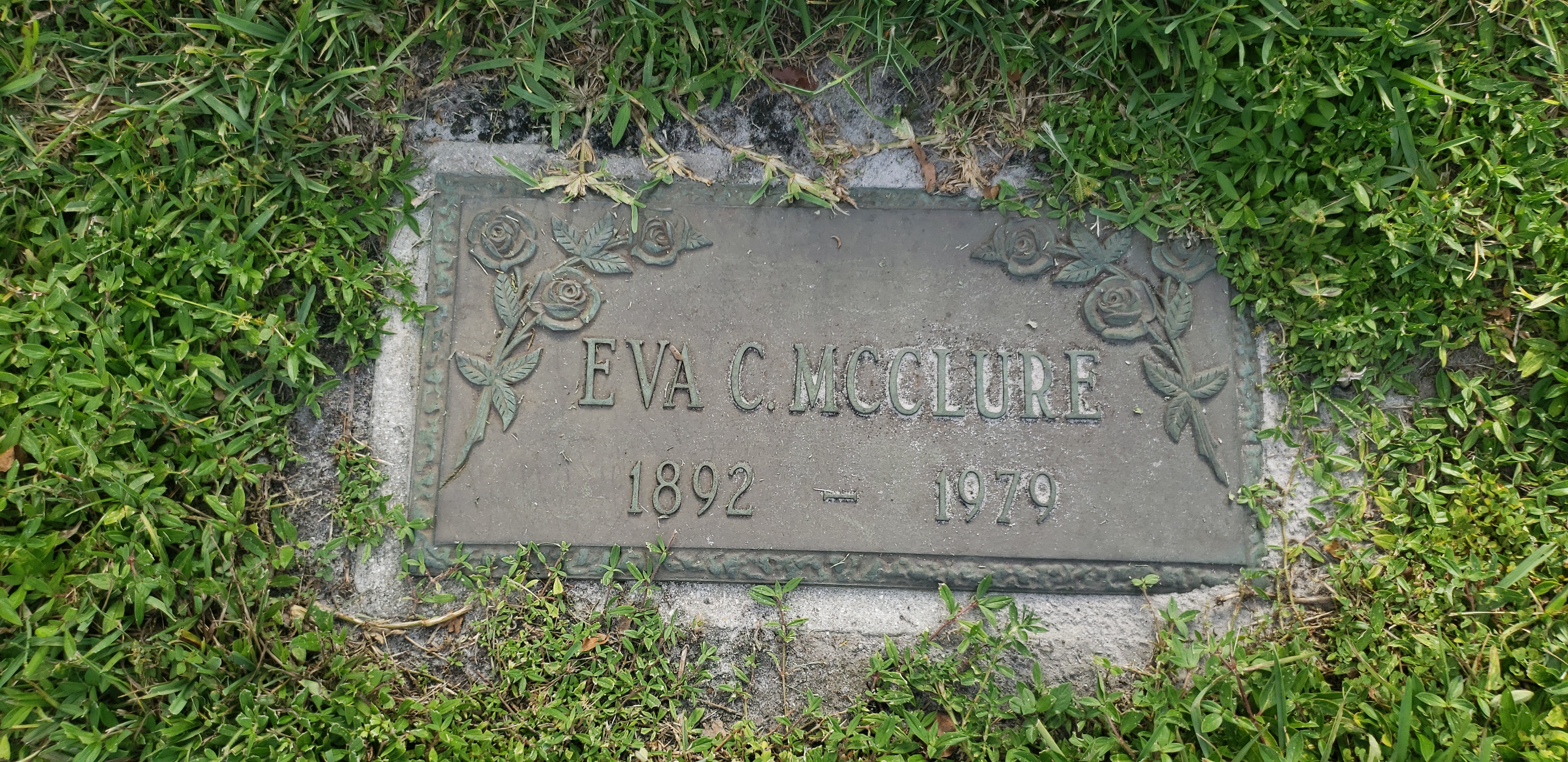 Eva C McClure