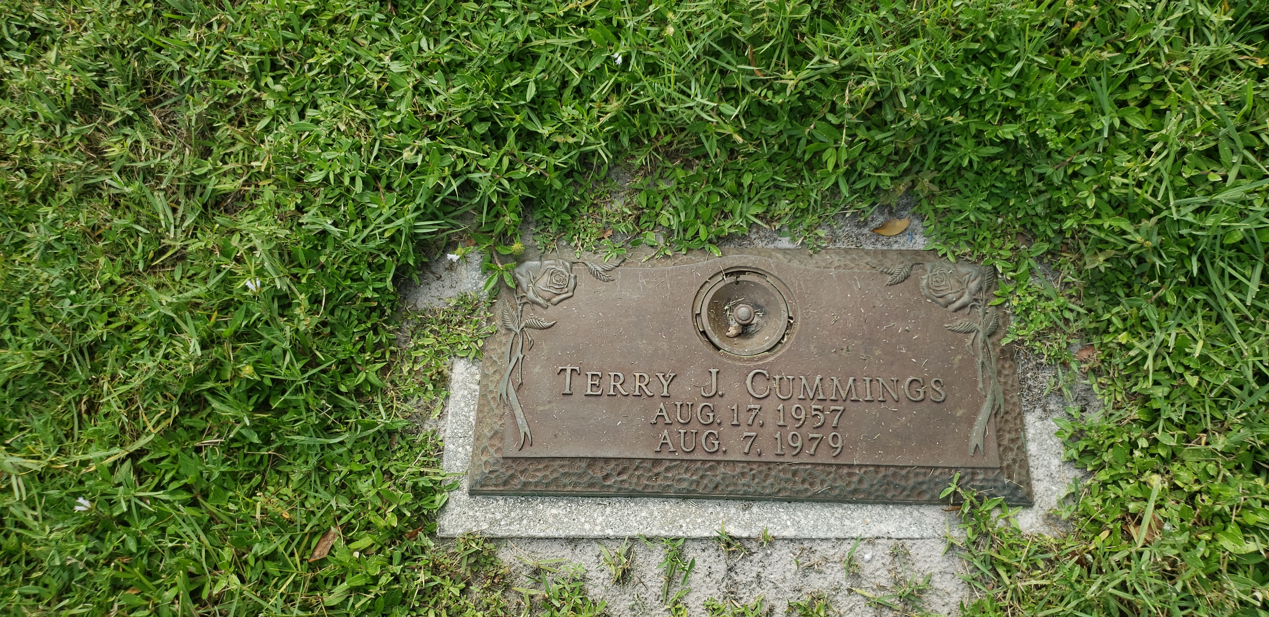 Terry J Cummings