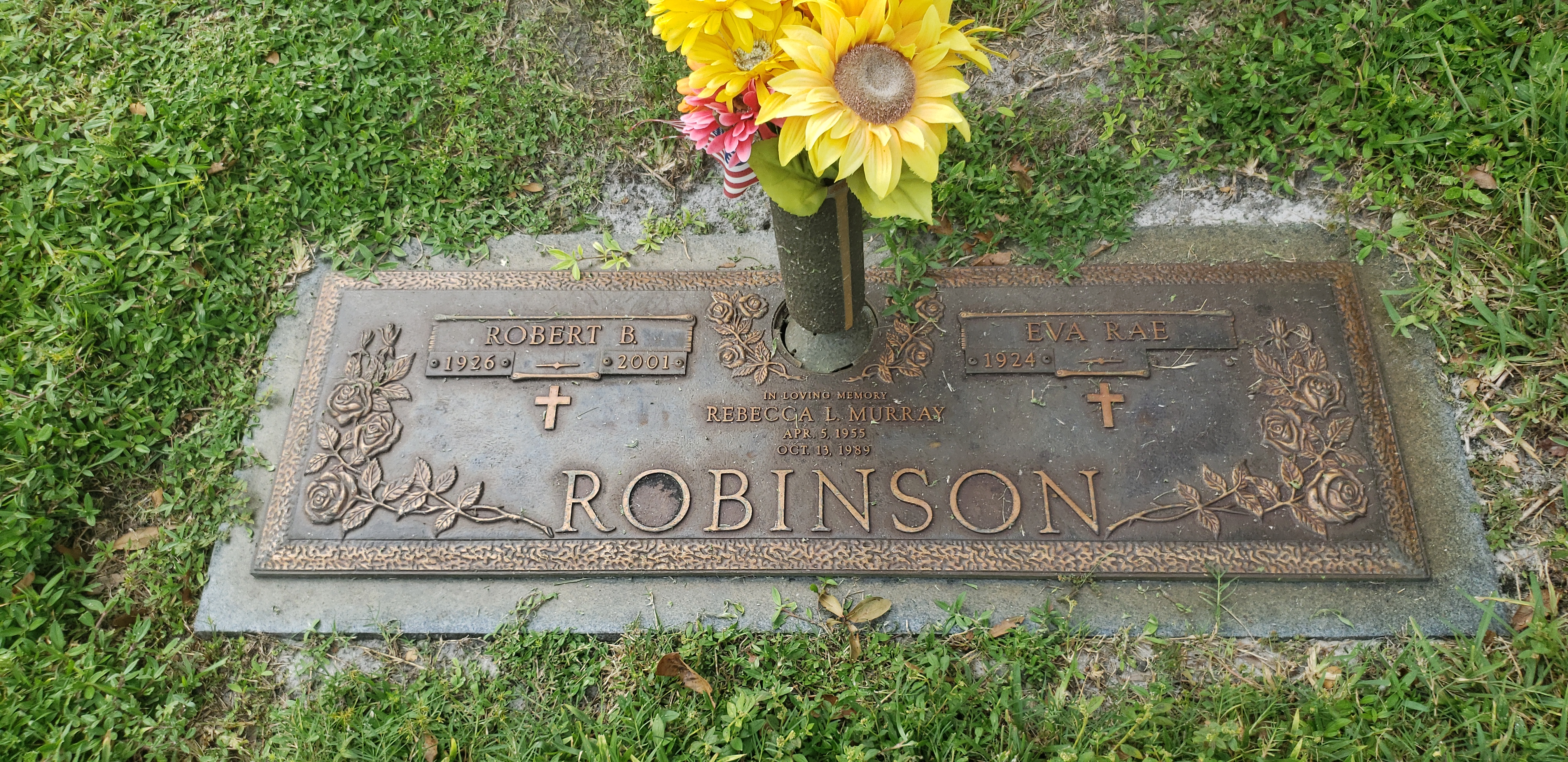 Robert B Robinson