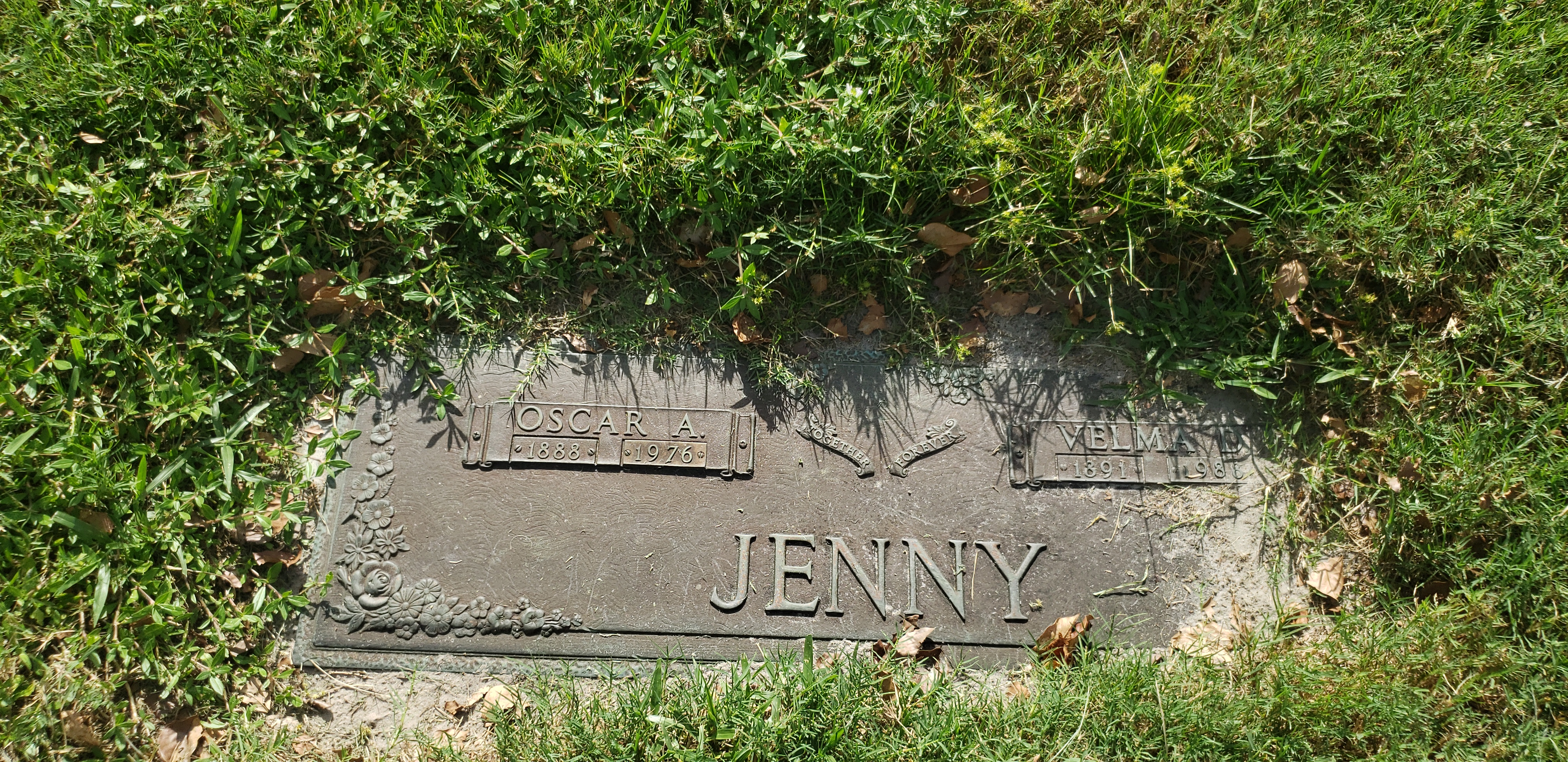 Velma D Jenny