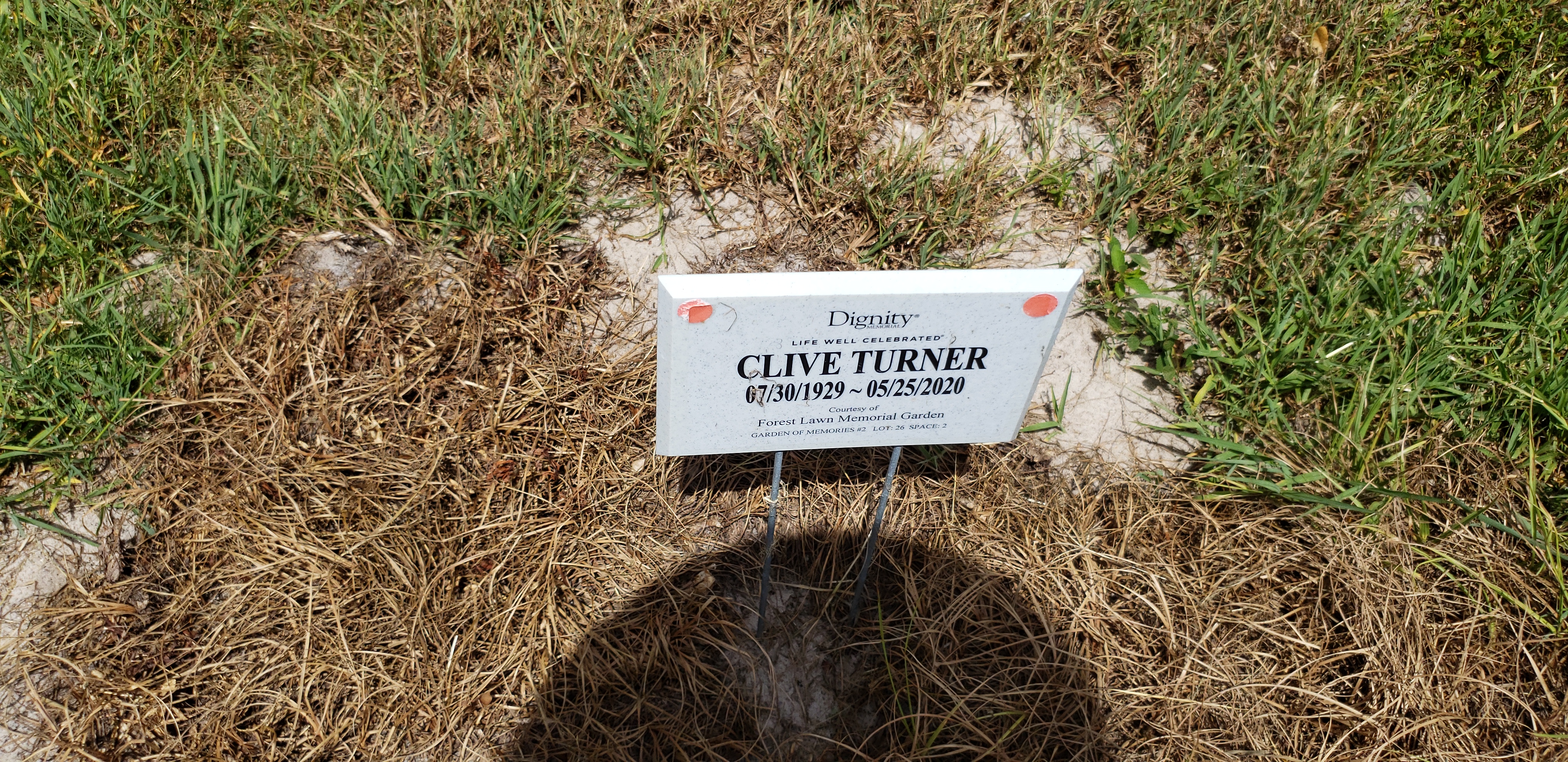 Clive Turner