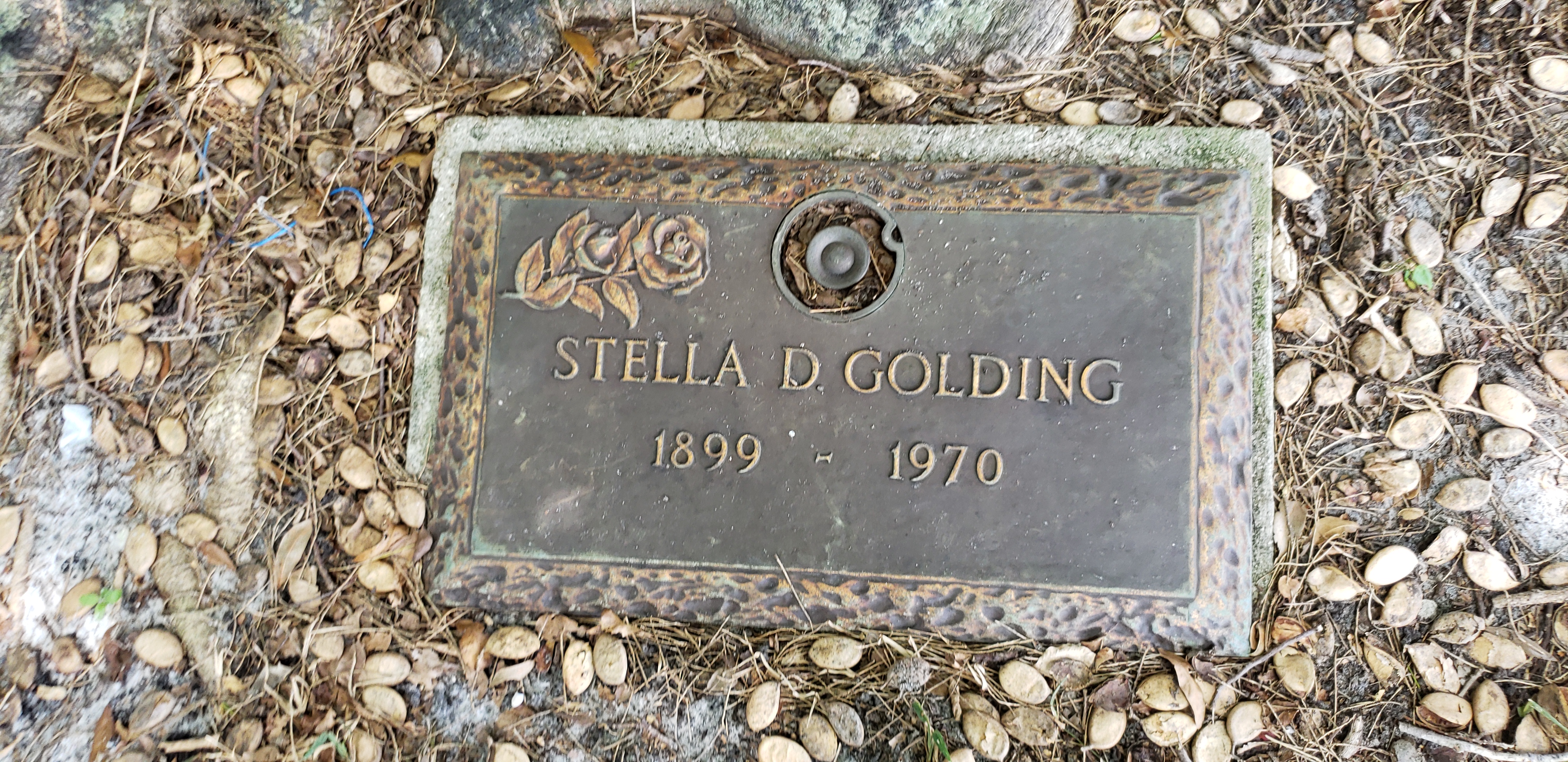 Stella D Golding