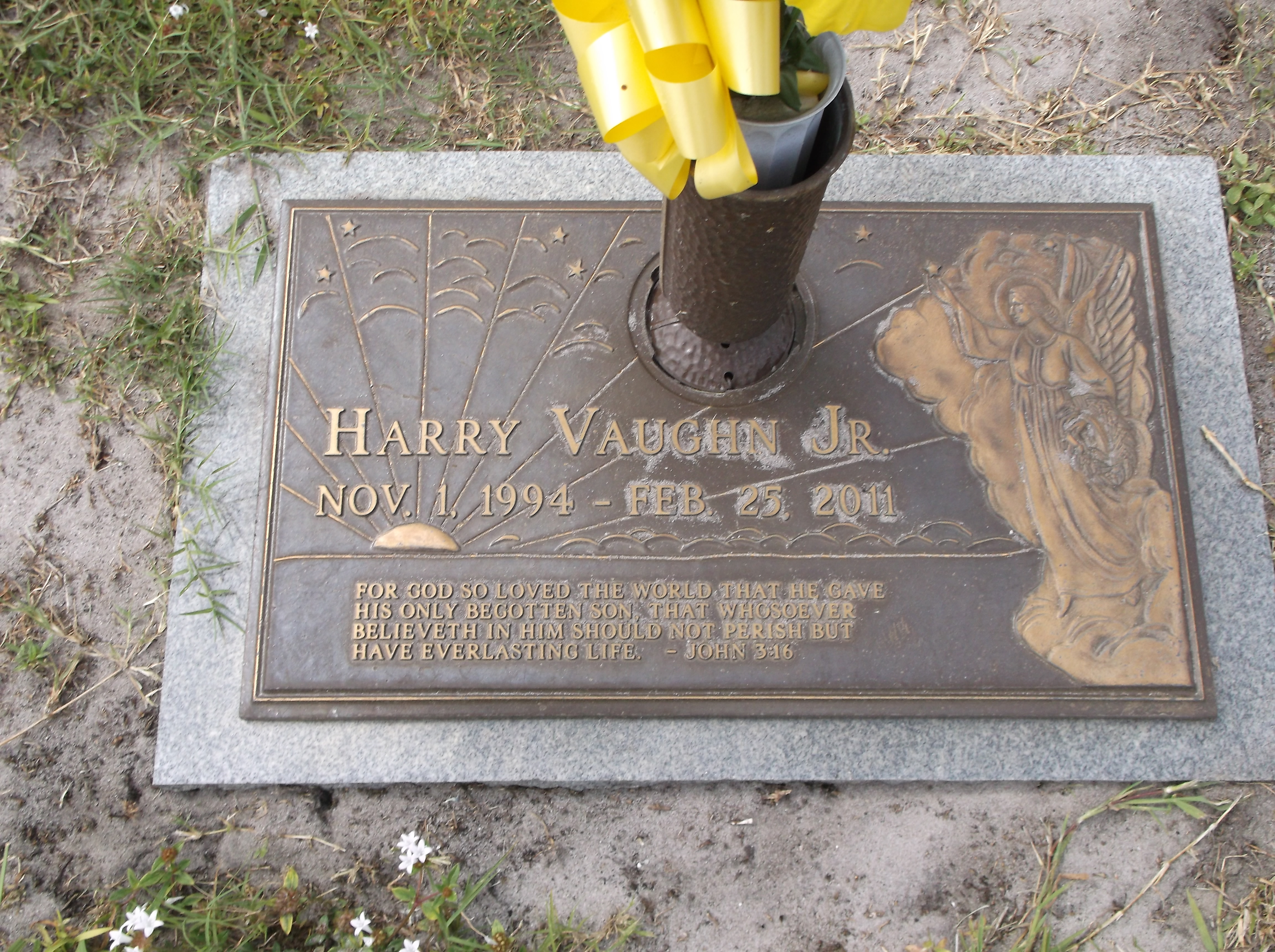 Harry Vaughn, Jr