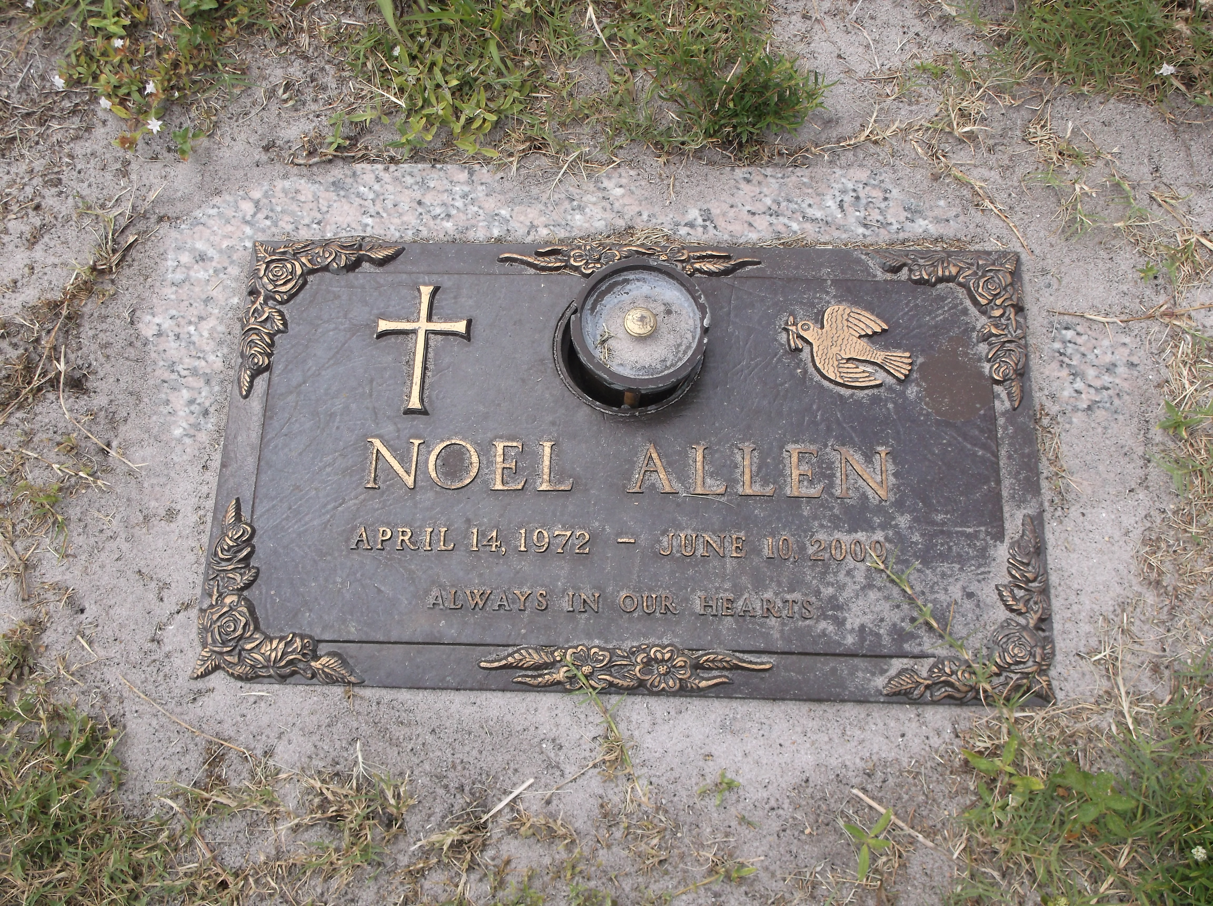 Noel Allen