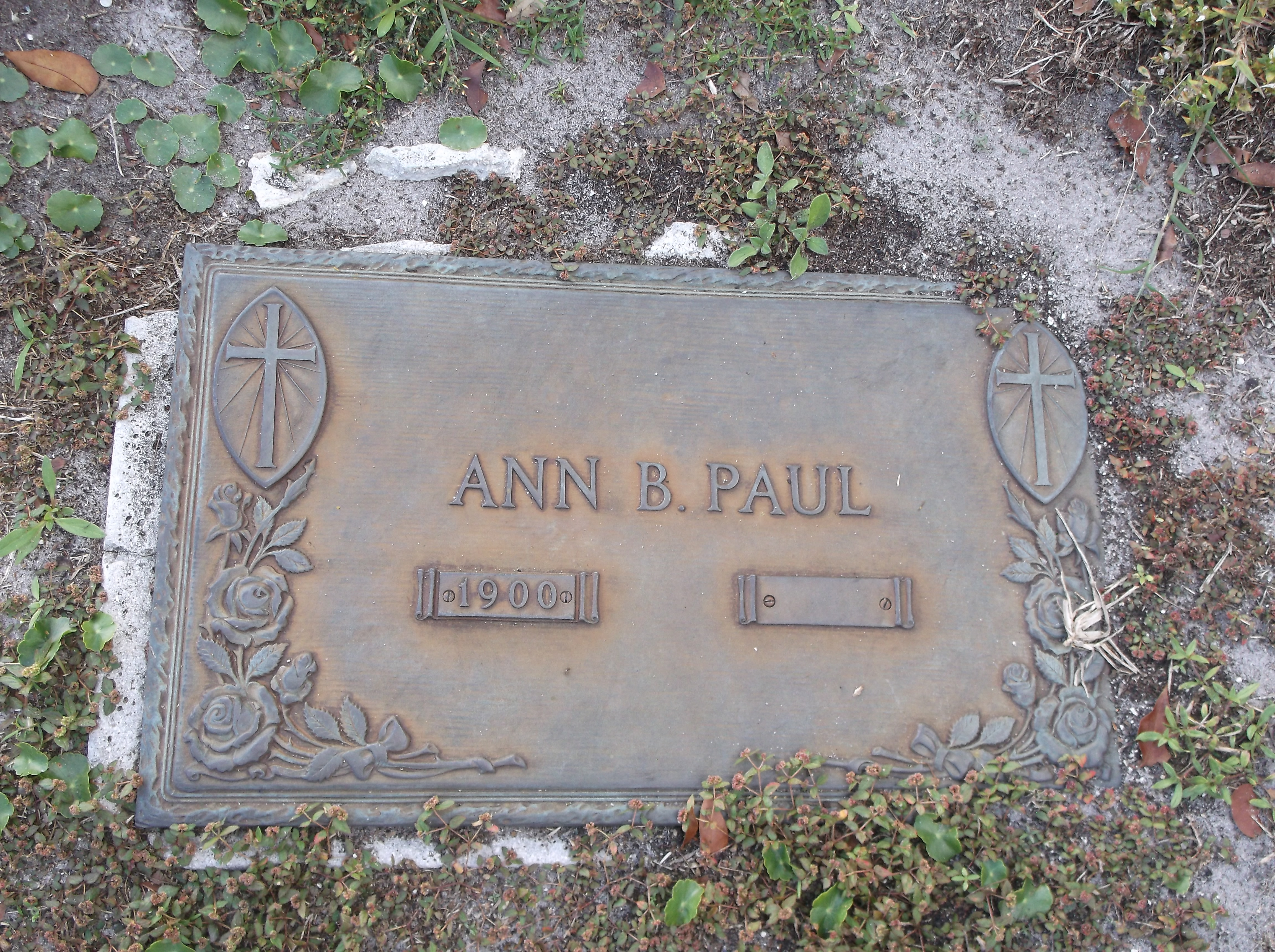 Ann B Paul