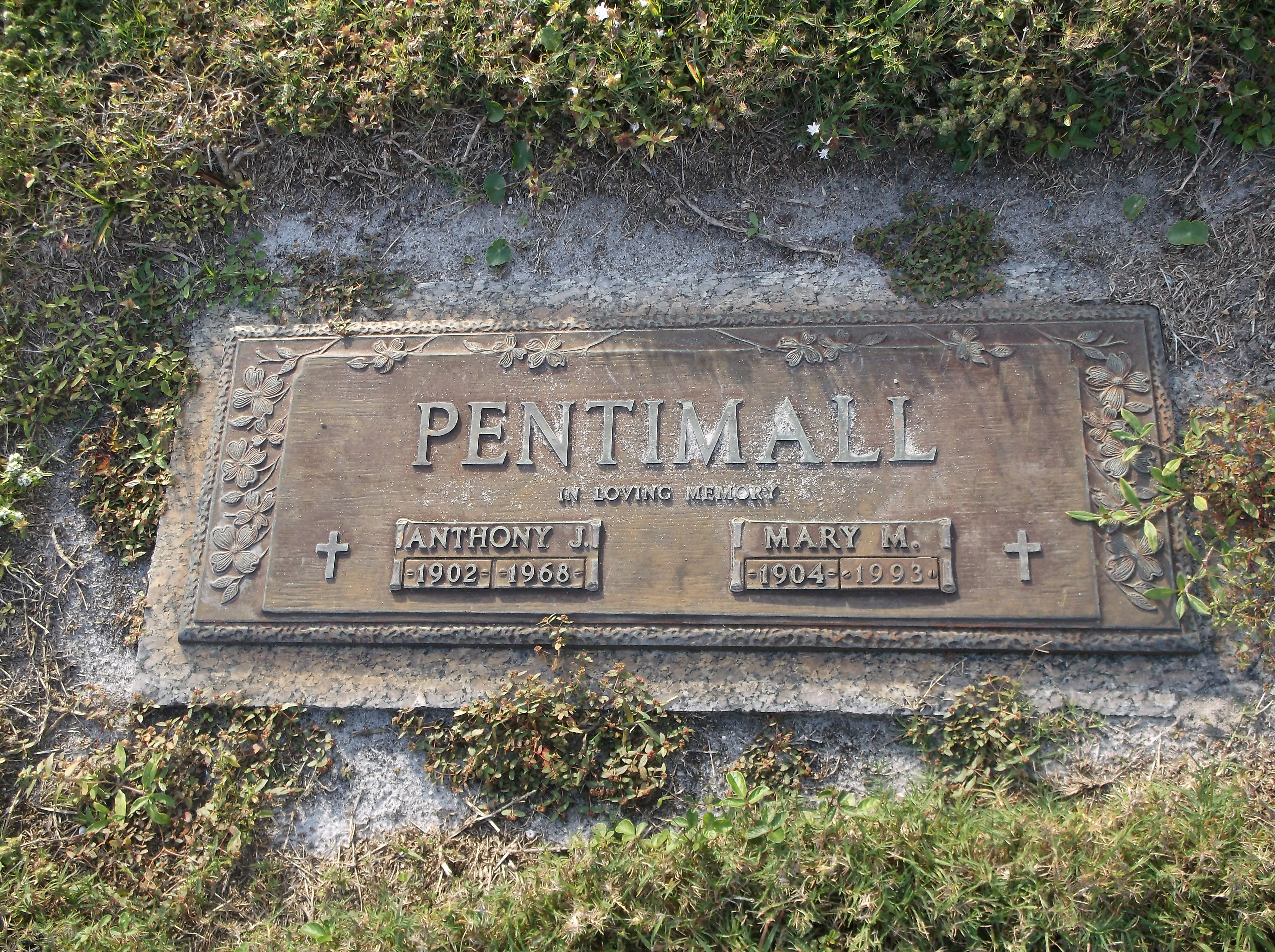 Anthony J Pentimall