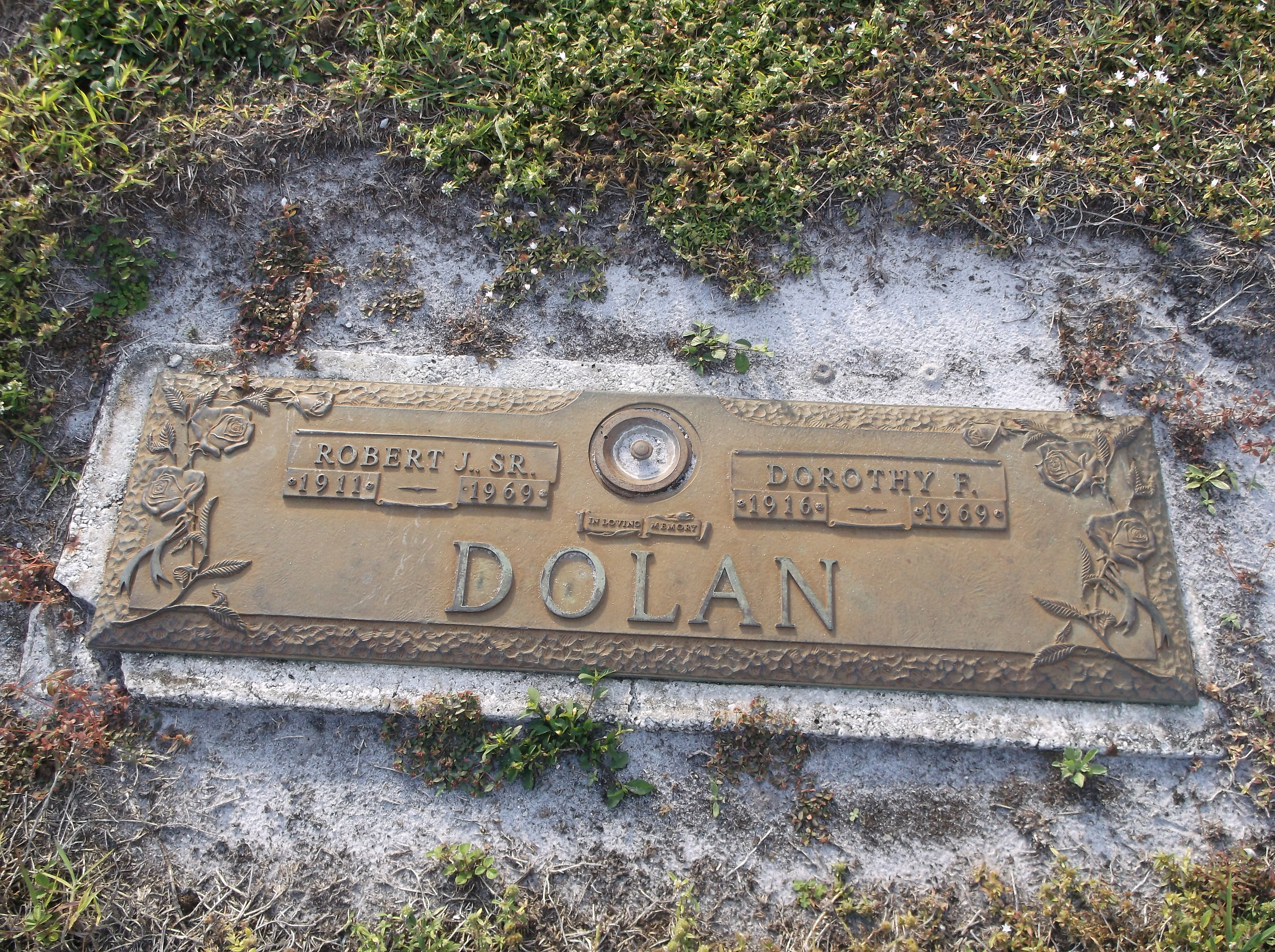 Dorothy F Dolan