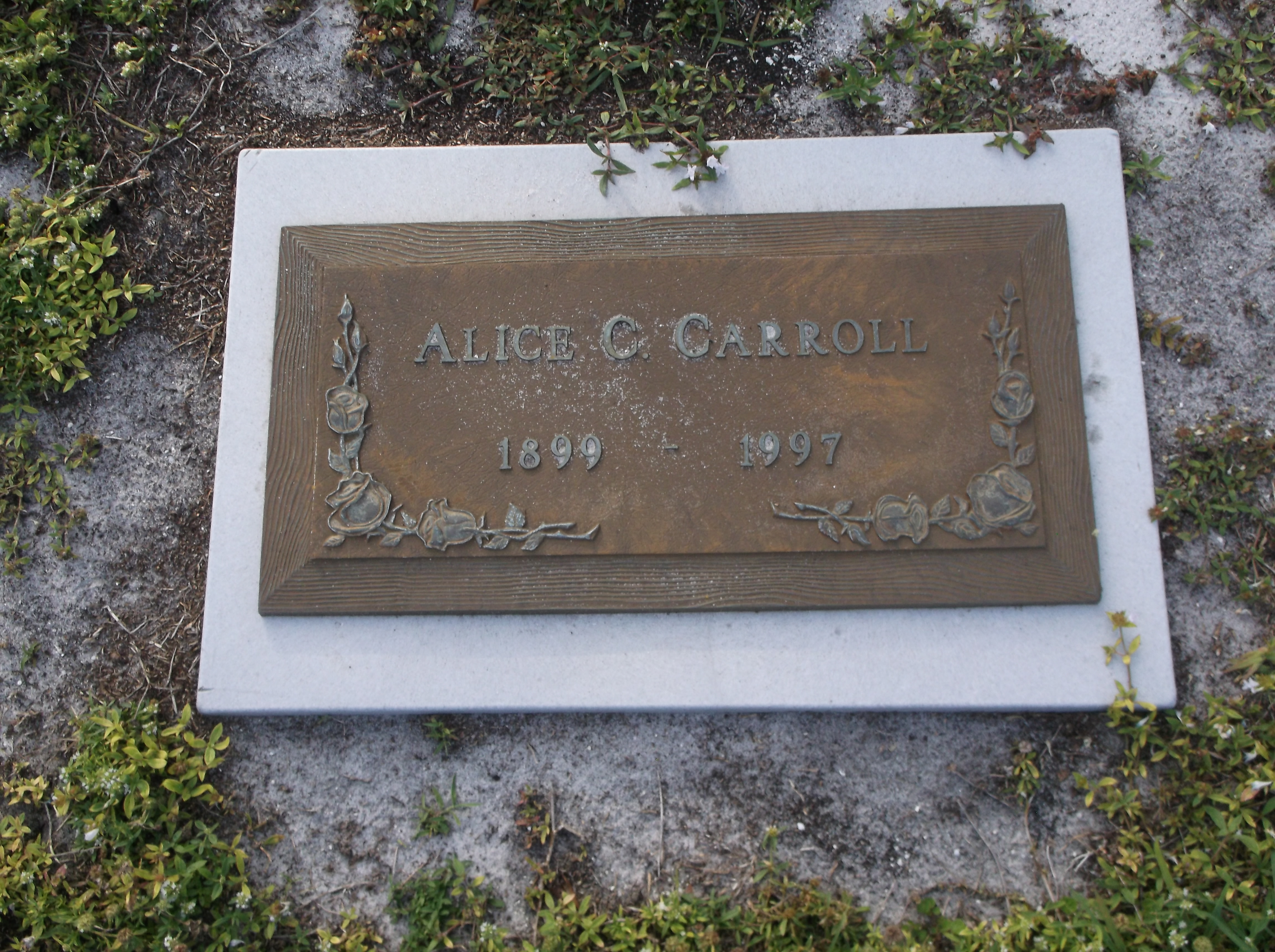 Alice C Carroll